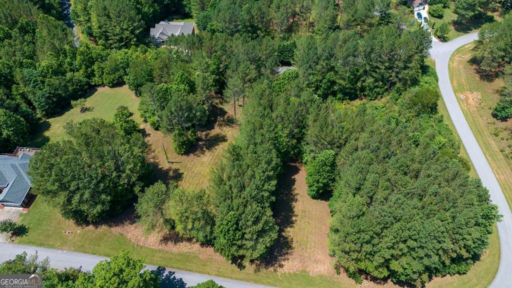 residential lot for sale at LOT 21 Loftis Mountain, Blairsville, GA 30512 — photo 10