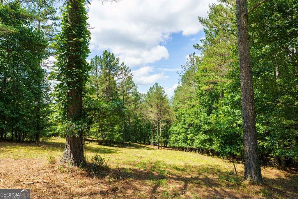 residential lot for sale at LOT 21 Loftis Mountain, Blairsville, GA 30512 — photo 4