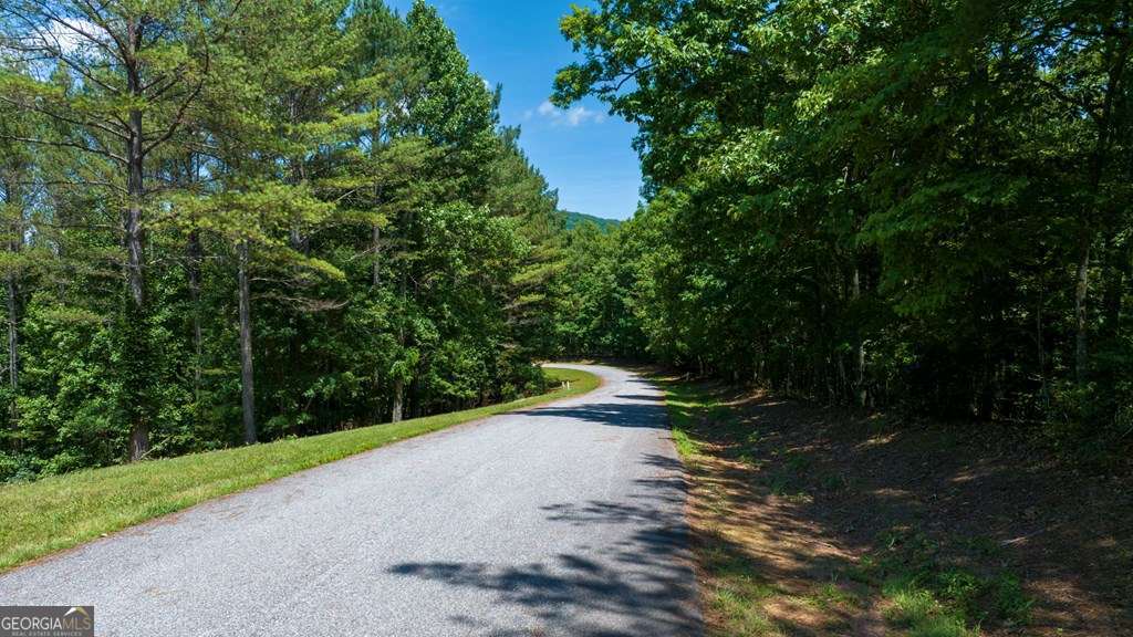 residential lot for sale at LOT 21 Loftis Mountain, Blairsville, GA 30512 — photo 8