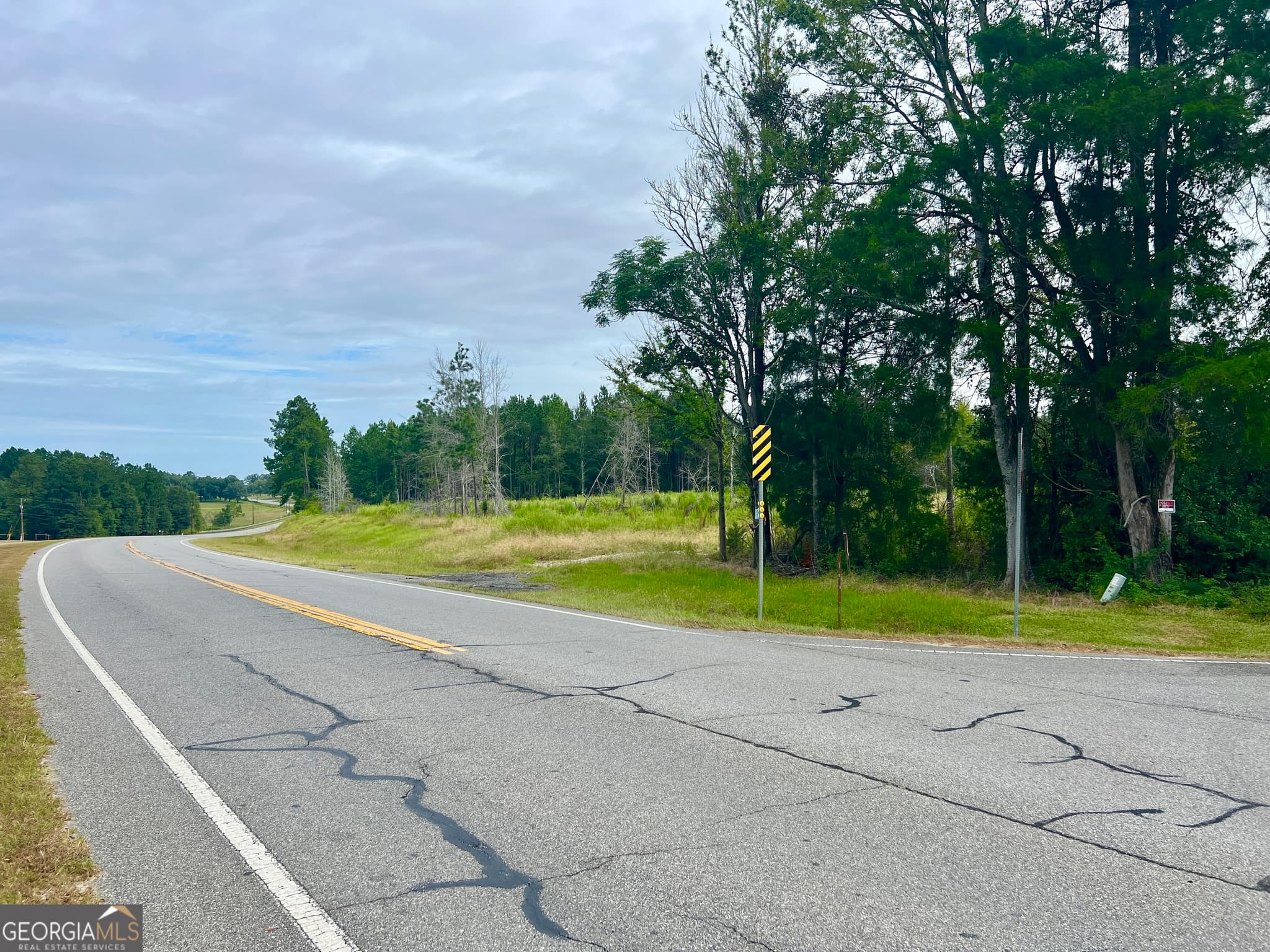 unimproved land for sale at 0 Old Ailey-Lothair Road, Mount Vernon, GA 30445 — photo 2