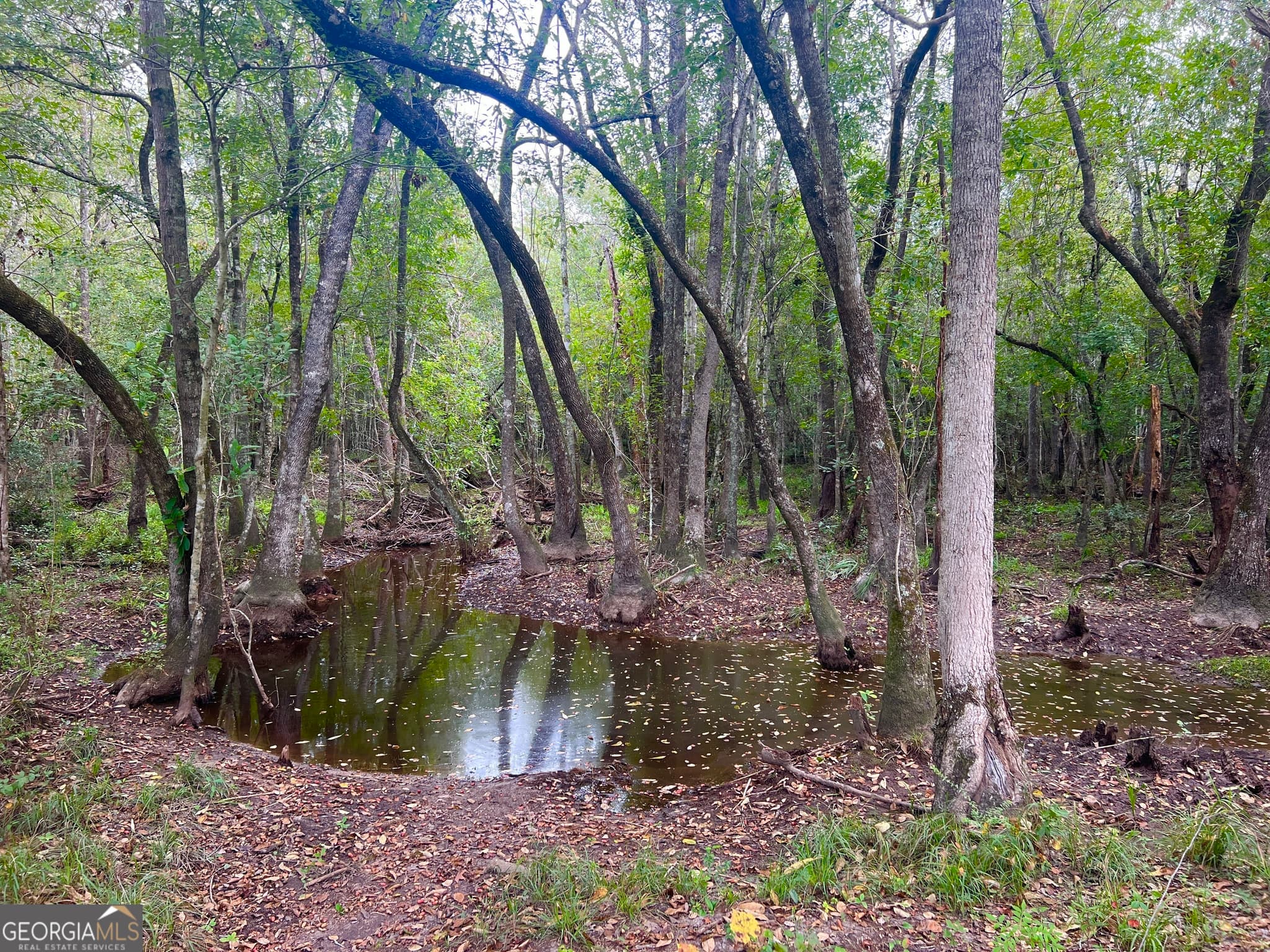 unimproved land for sale at 0 Old Ailey-Lothair Road, Mount Vernon, GA 30445 — photo 3