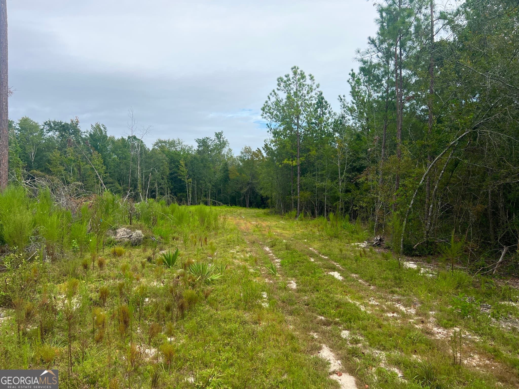 unimproved land for sale at 0 Old Ailey-Lothair Road, Mount Vernon, GA 30445