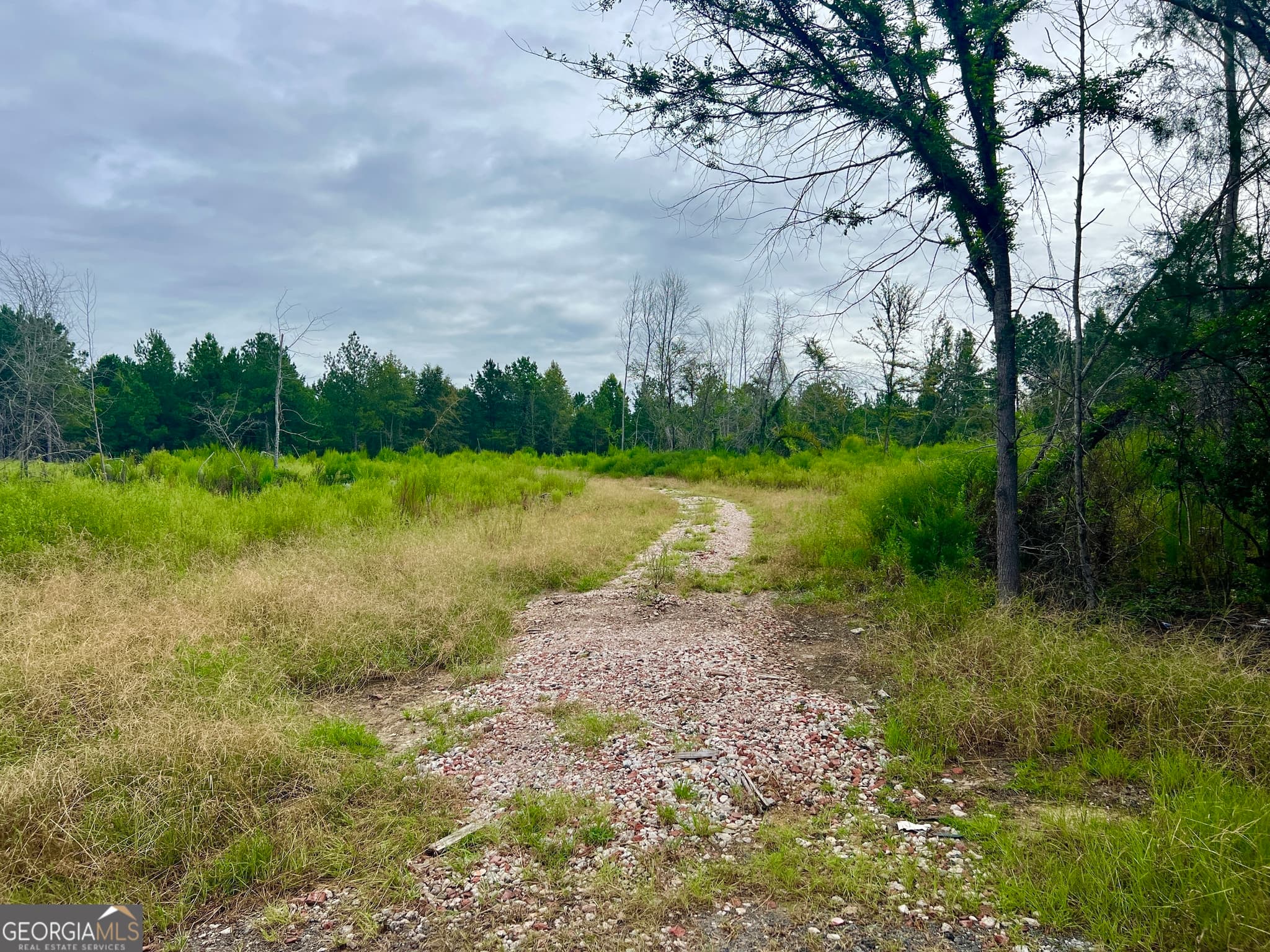 unimproved land for sale at 0 Old Ailey-Lothair Road, Mount Vernon, GA 30445 — photo 5
