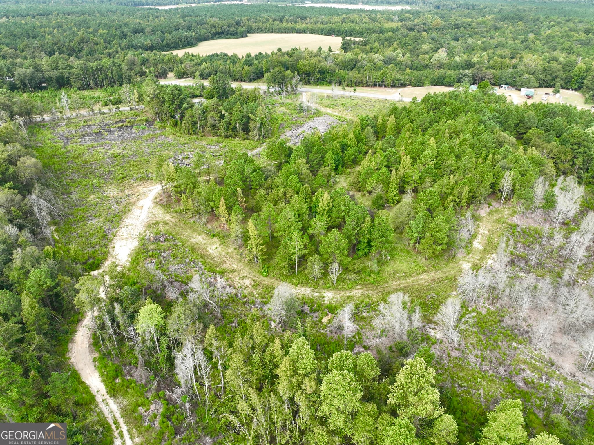 unimproved land for sale at 0 Old Ailey-Lothair Road, Mount Vernon, GA 30445 — photo 4