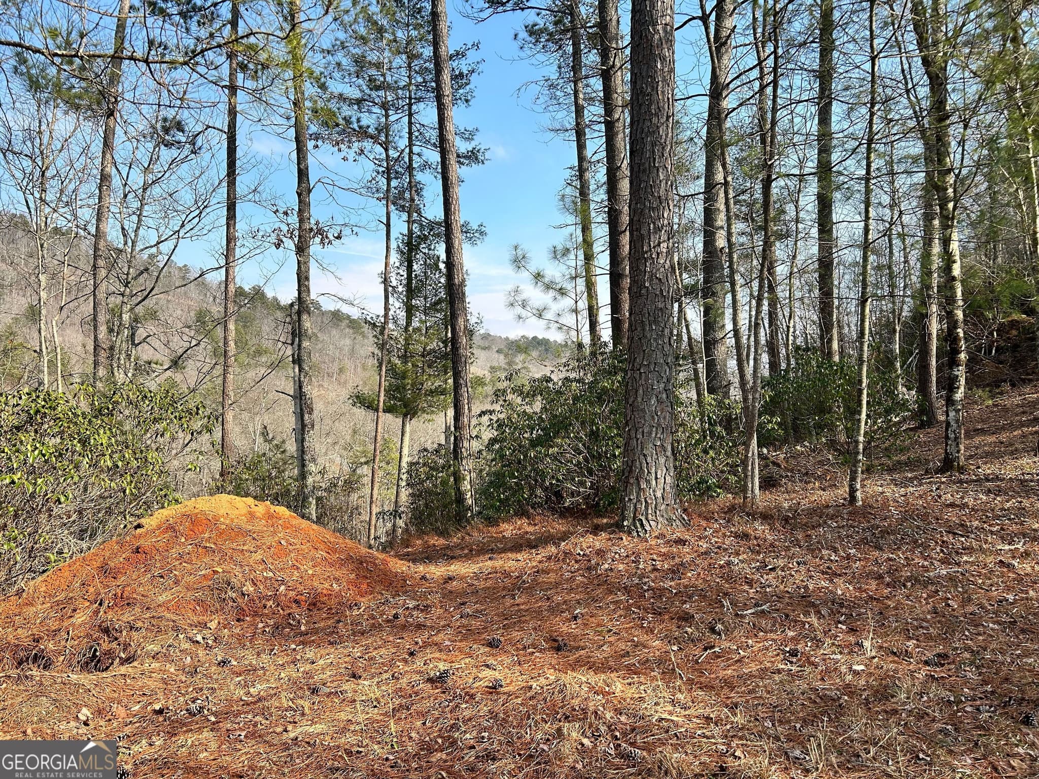 residential lot for sale at 436 Meadow Lane, Talking Rock, GA 30175 — photo 2