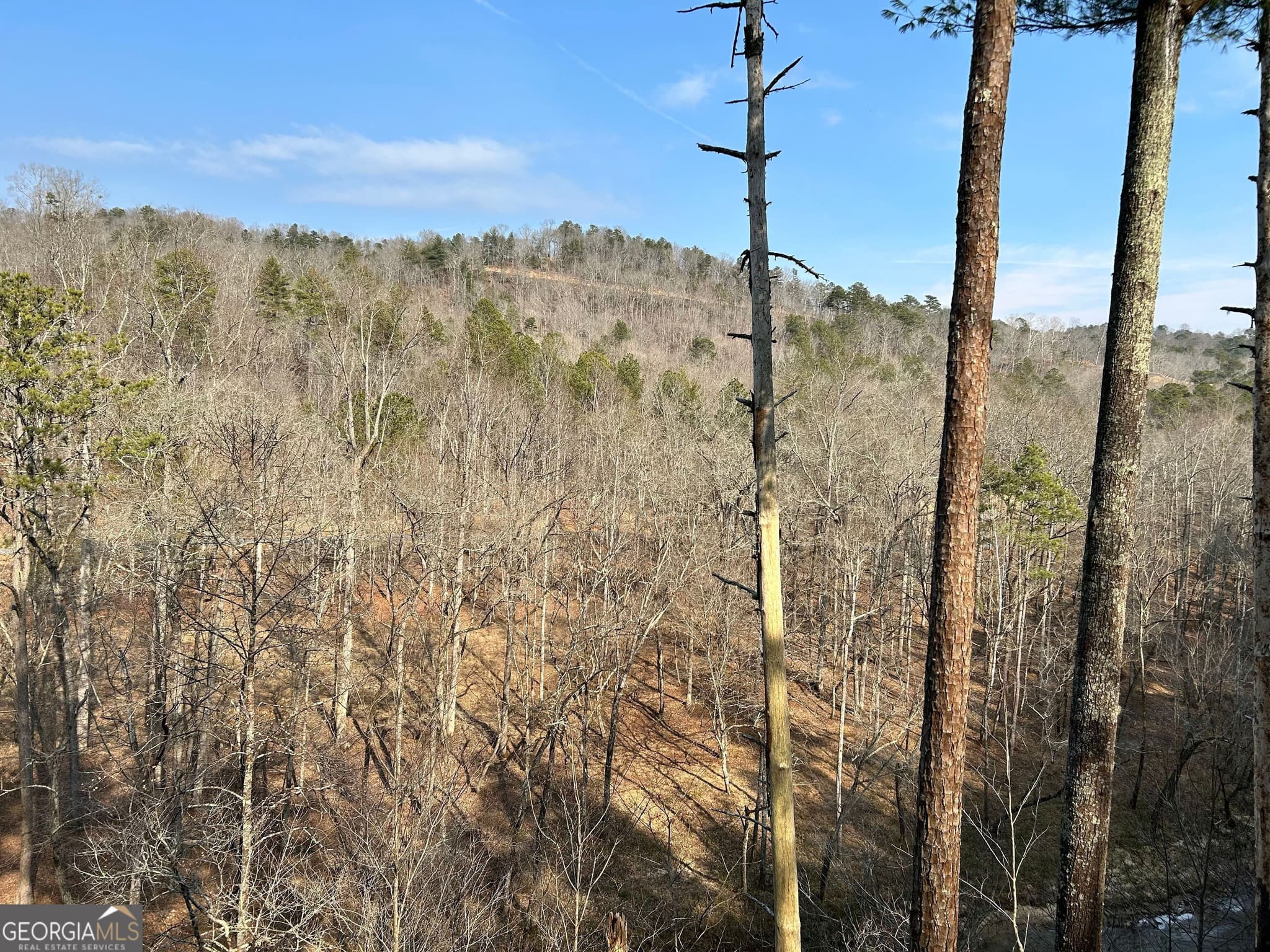residential lot for sale at 436 Meadow Lane, Talking Rock, GA 30175 — photo 6