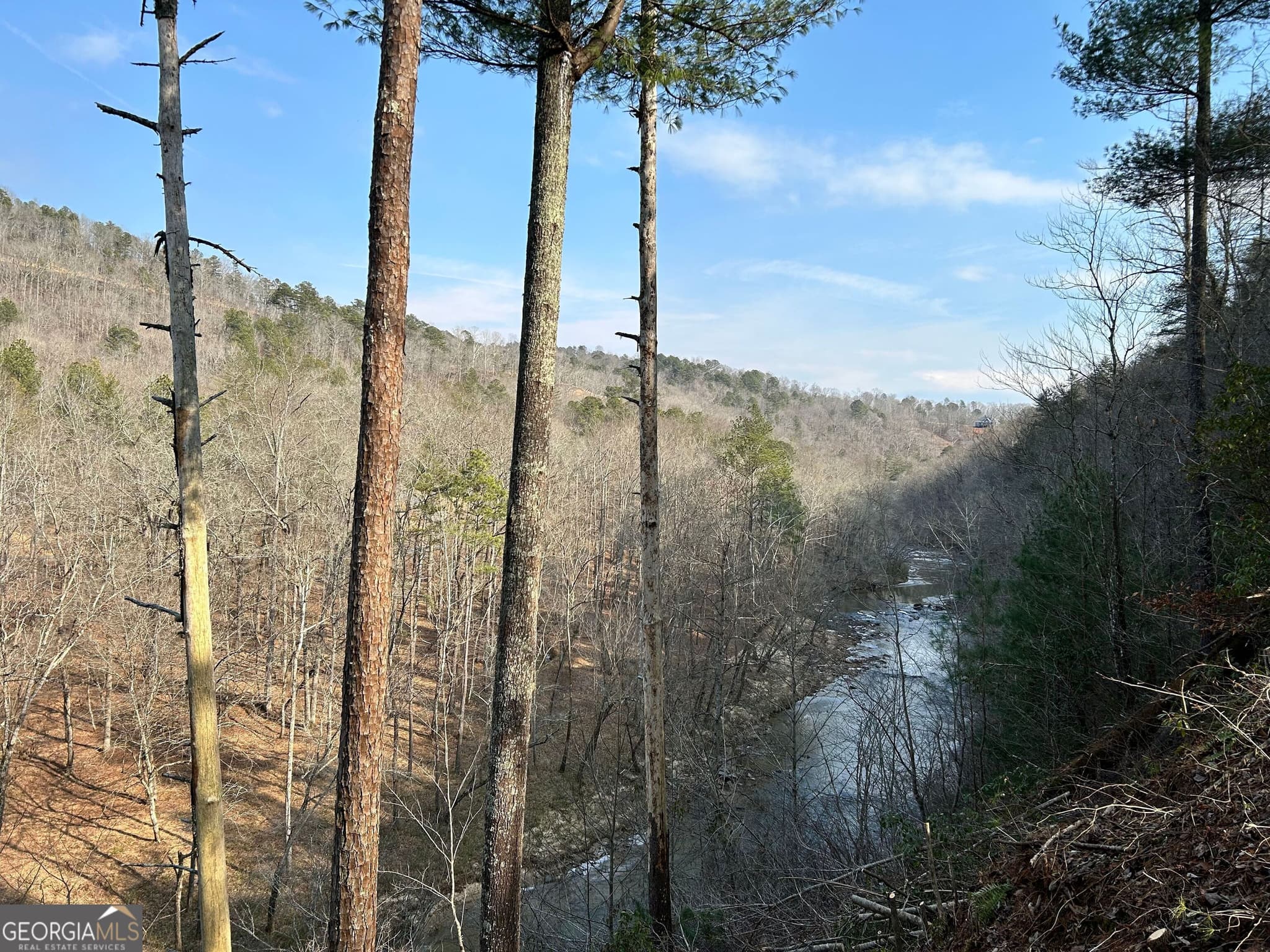 residential lot for sale at 436 Meadow Lane, Talking Rock, GA 30175 — photo 7