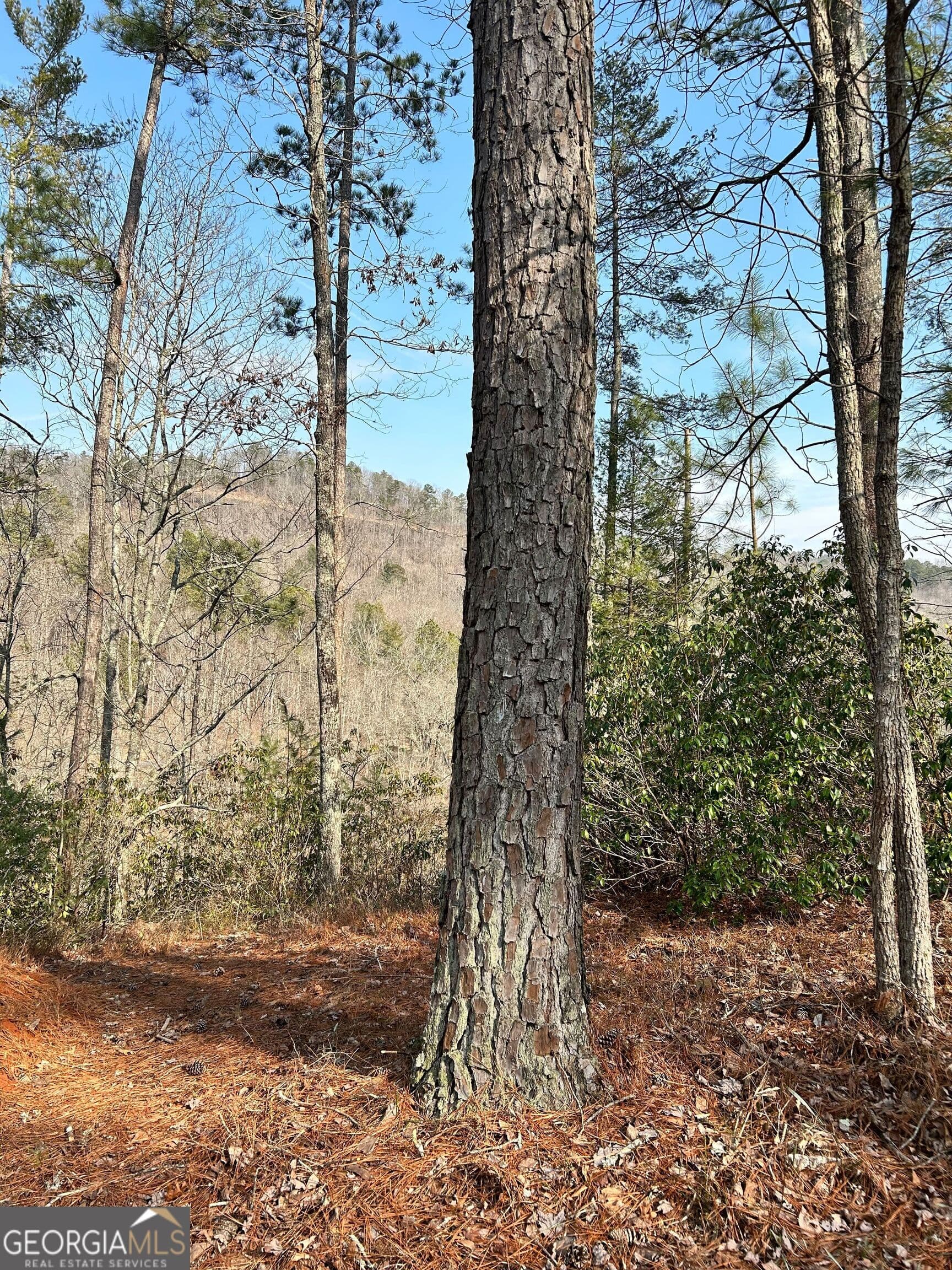 residential lot for sale at 436 Meadow Lane, Talking Rock, GA 30175 — photo 3