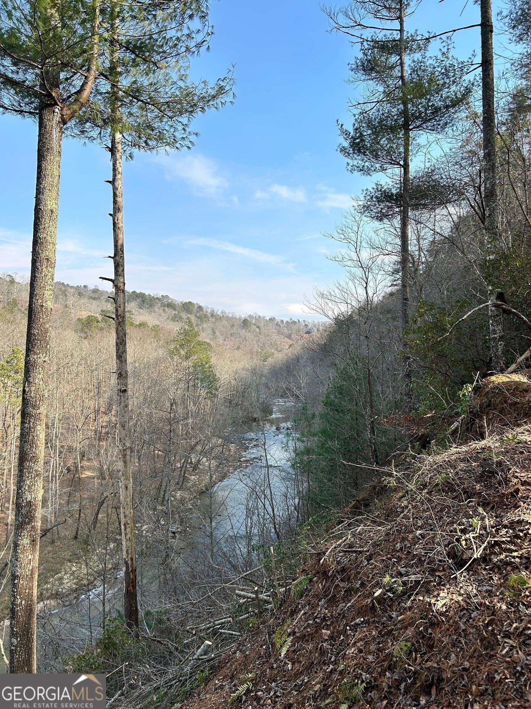 residential lot for sale at 436 Meadow Lane, Talking Rock, GA 30175 — photo 1 of 38