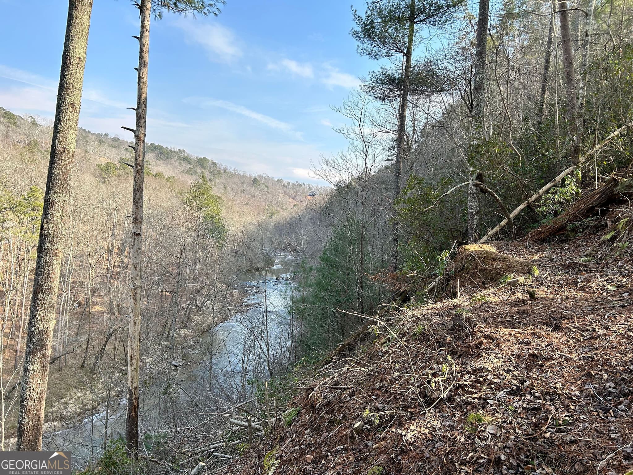 residential lot for sale at 436 Meadow Lane, Talking Rock, GA 30175 — photo 5