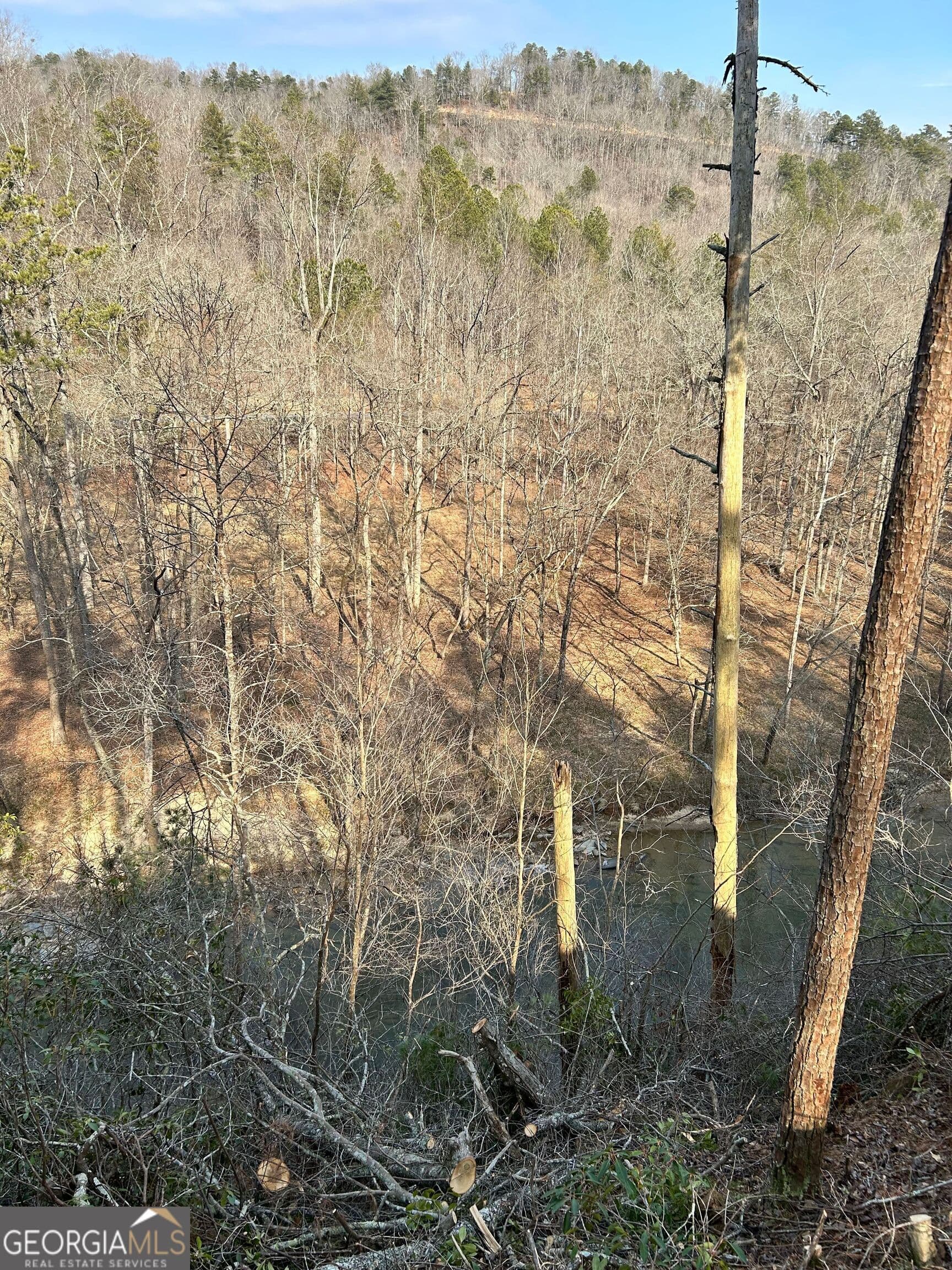 residential lot for sale at 436 Meadow Lane, Talking Rock, GA 30175 — photo 9