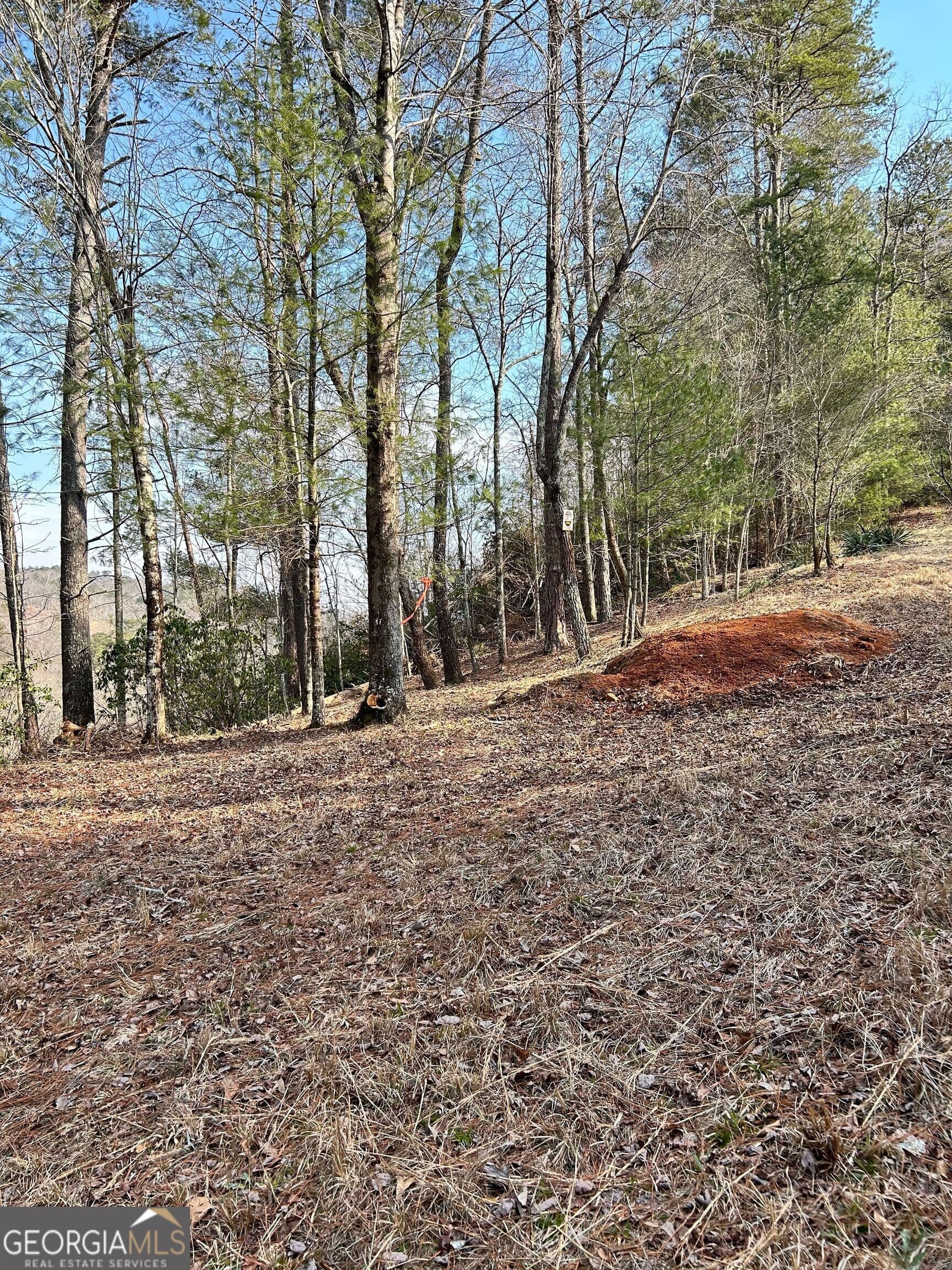 residential lot for sale at 436 Meadow Lane, Talking Rock, GA 30175 — photo 10