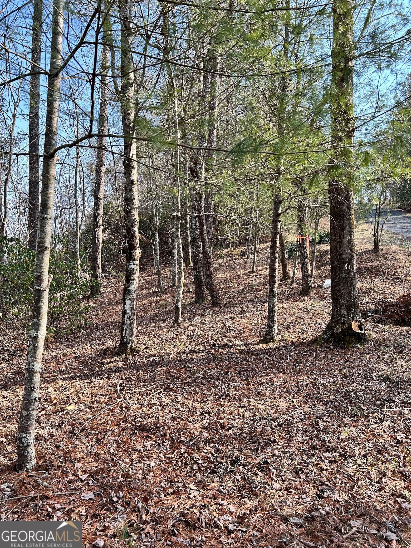residential lot for sale at 436 Meadow Lane, Talking Rock, GA 30175 — photo 4