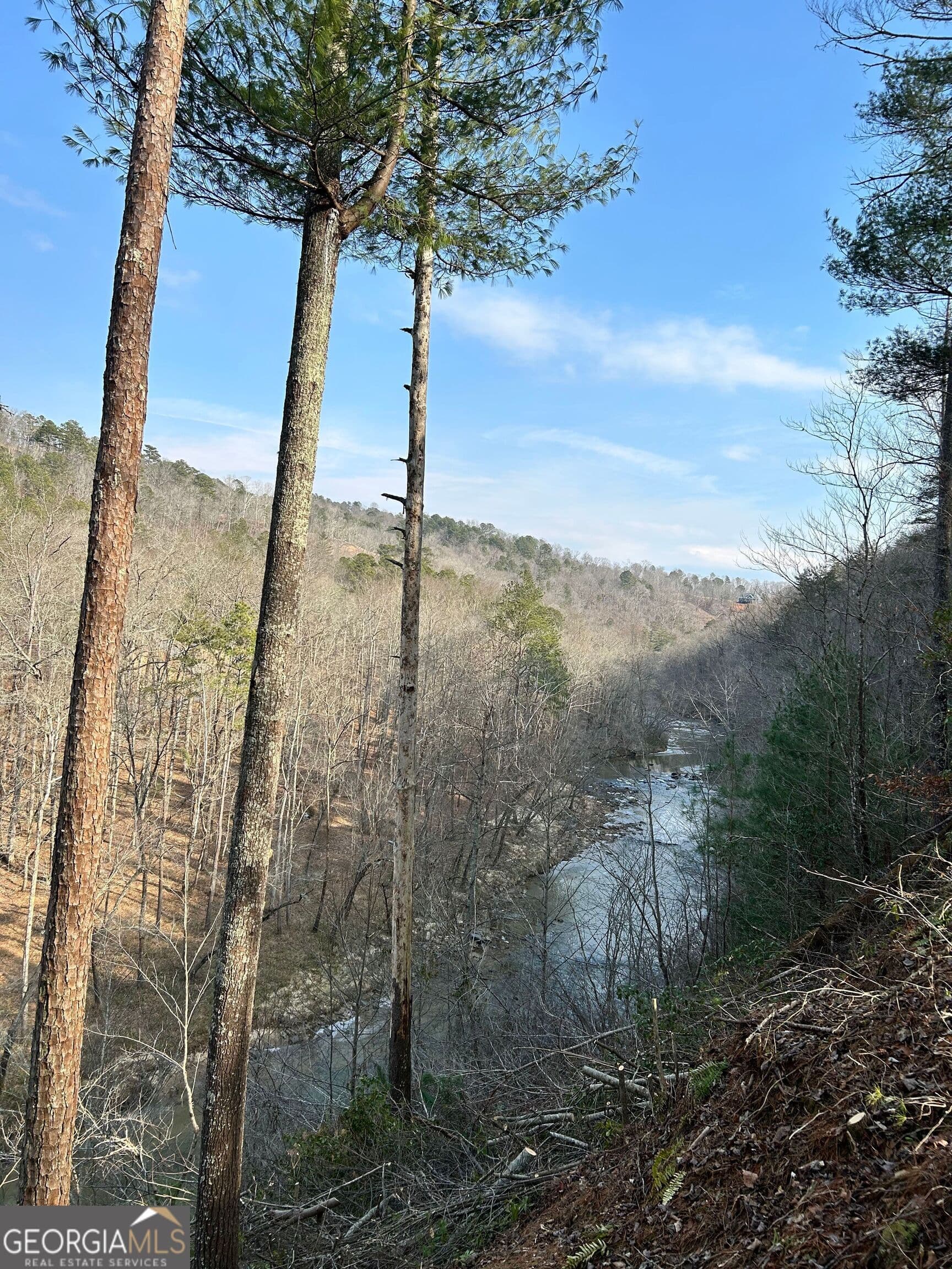 residential lot for sale at 436 Meadow Lane, Talking Rock, GA 30175 — photo 8