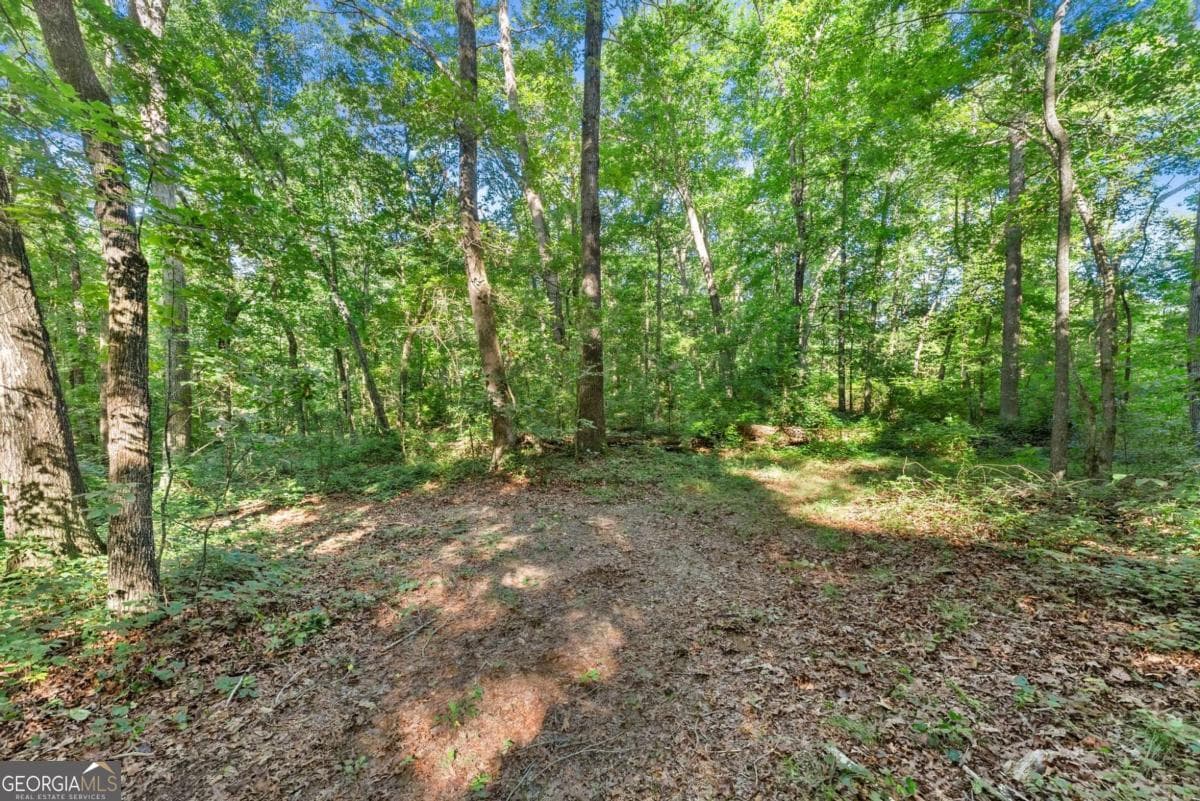 agriculture for sale at 0 Prospect Road, Carnesville, GA 30521 — photo 2