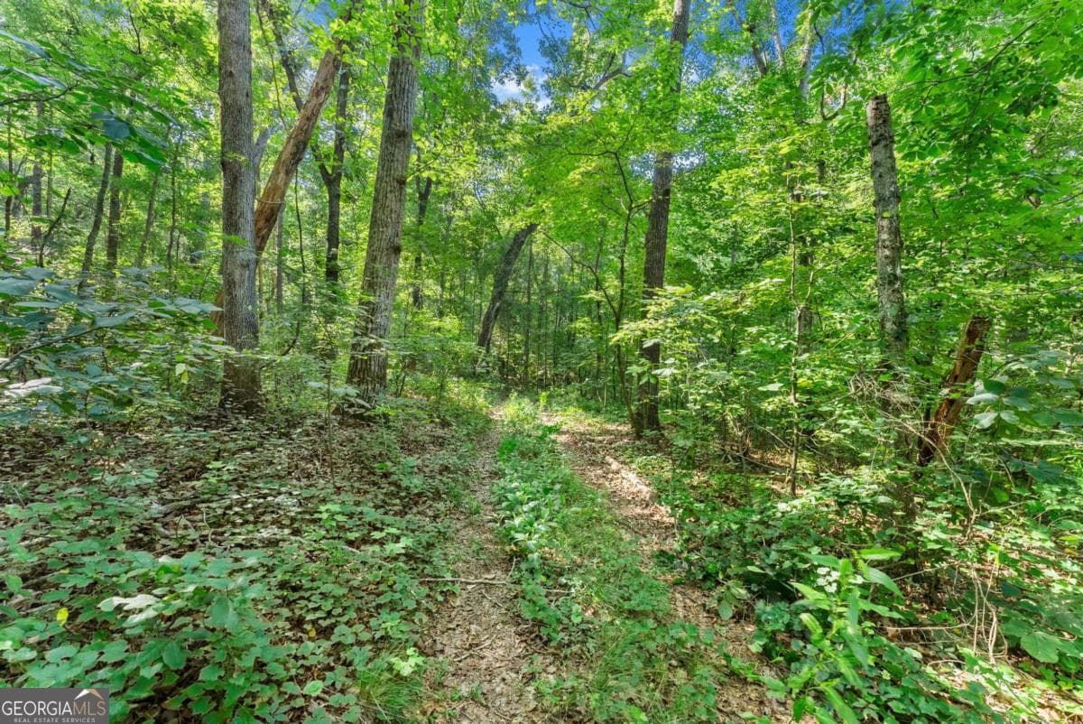 agriculture for sale at 0 Prospect Road, Carnesville, GA 30521 — photo 6