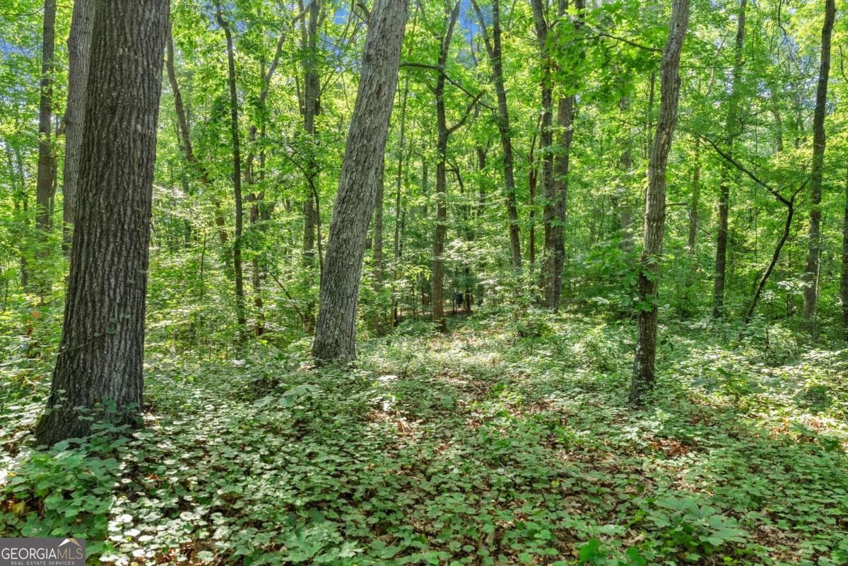 agriculture for sale at 0 Prospect Road, Carnesville, GA 30521 — photo 7