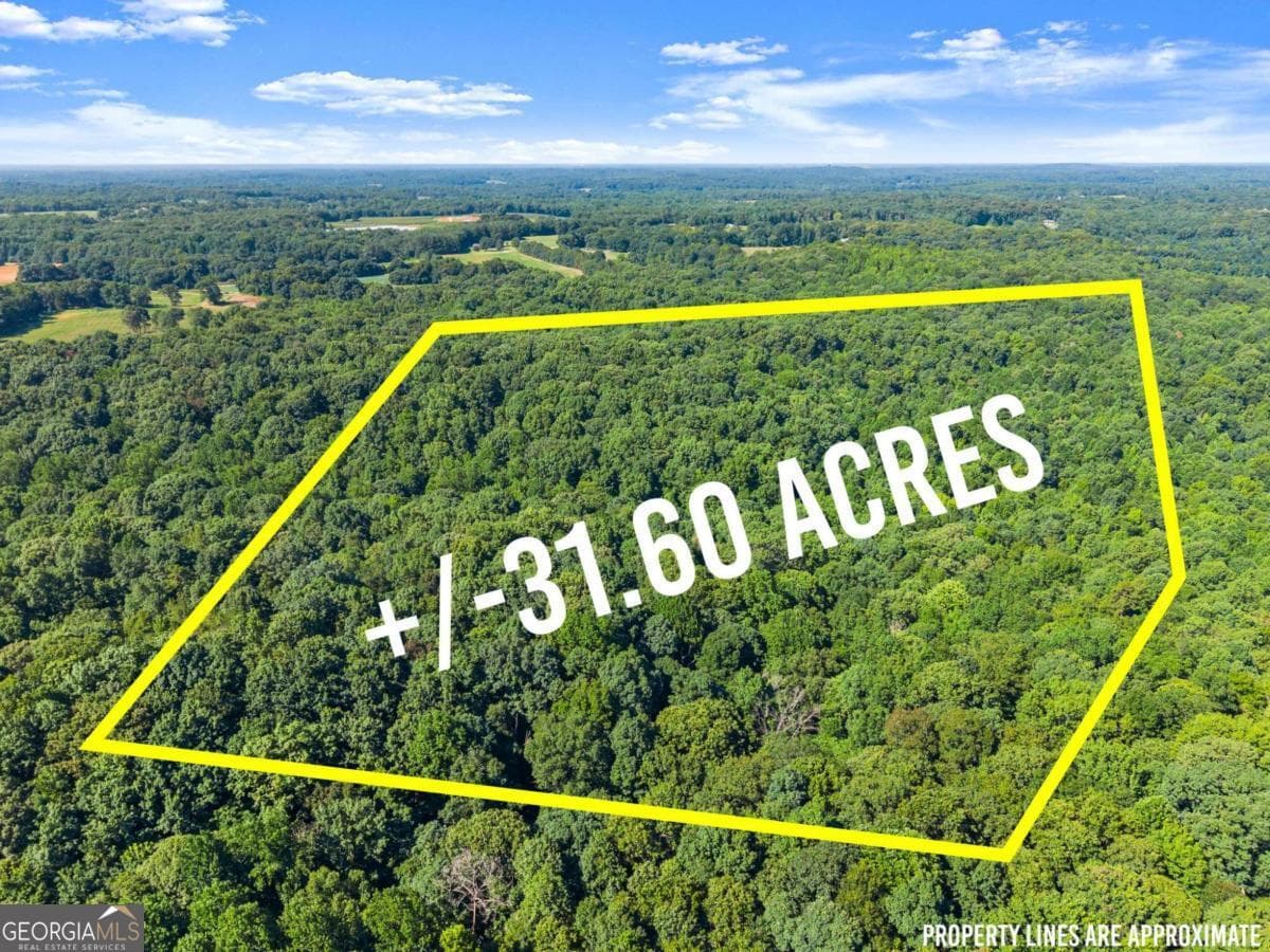 agriculture for sale at 0 Prospect Road, Carnesville, GA 30521