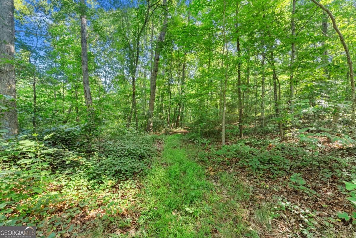 agriculture for sale at 0 Prospect Road, Carnesville, GA 30521 — photo 5