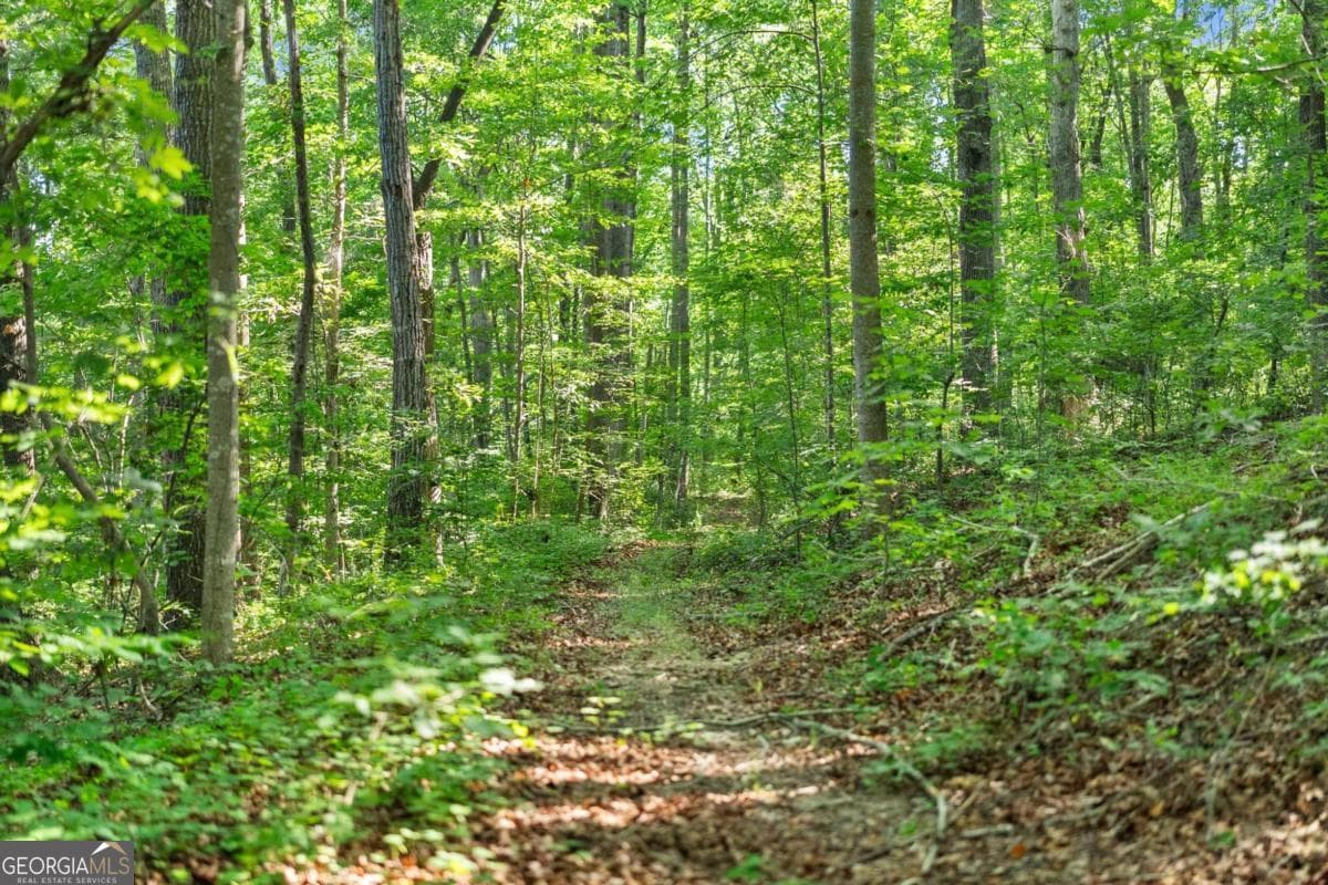 agriculture for sale at 0 Prospect Road, Carnesville, GA 30521 — photo 9