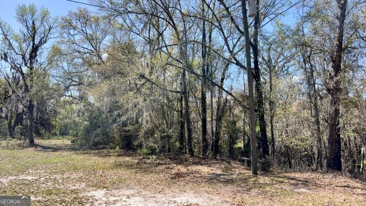 3 bedroom, 2 bathroom, 1,064 sq ft single family residence under contract at 265 Big Cypress Drive, Bloomingdale, GA 31302 — photo 4