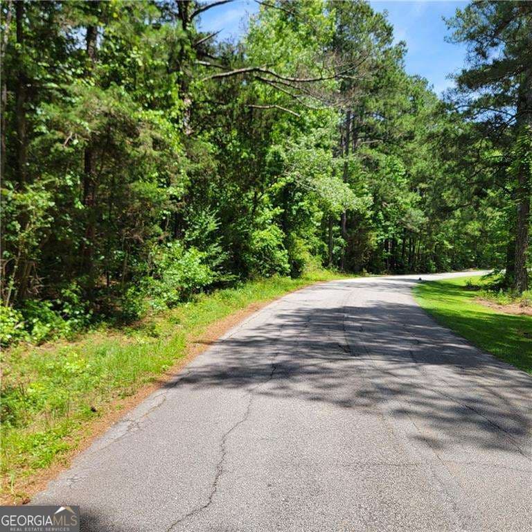 residential lot for sale at 0 Spring Hill Drive, Covington, GA 30016 — photo 5