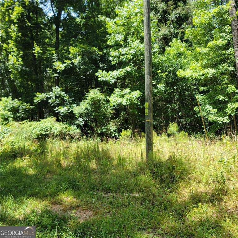 residential lot for sale at 0 Spring Hill Drive, Covington, GA 30016 — photo 4