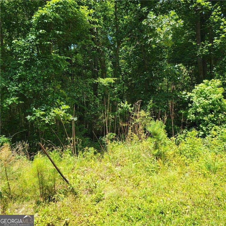residential lot for sale at 0 Spring Hill Drive, Covington, GA 30016 — photo 8