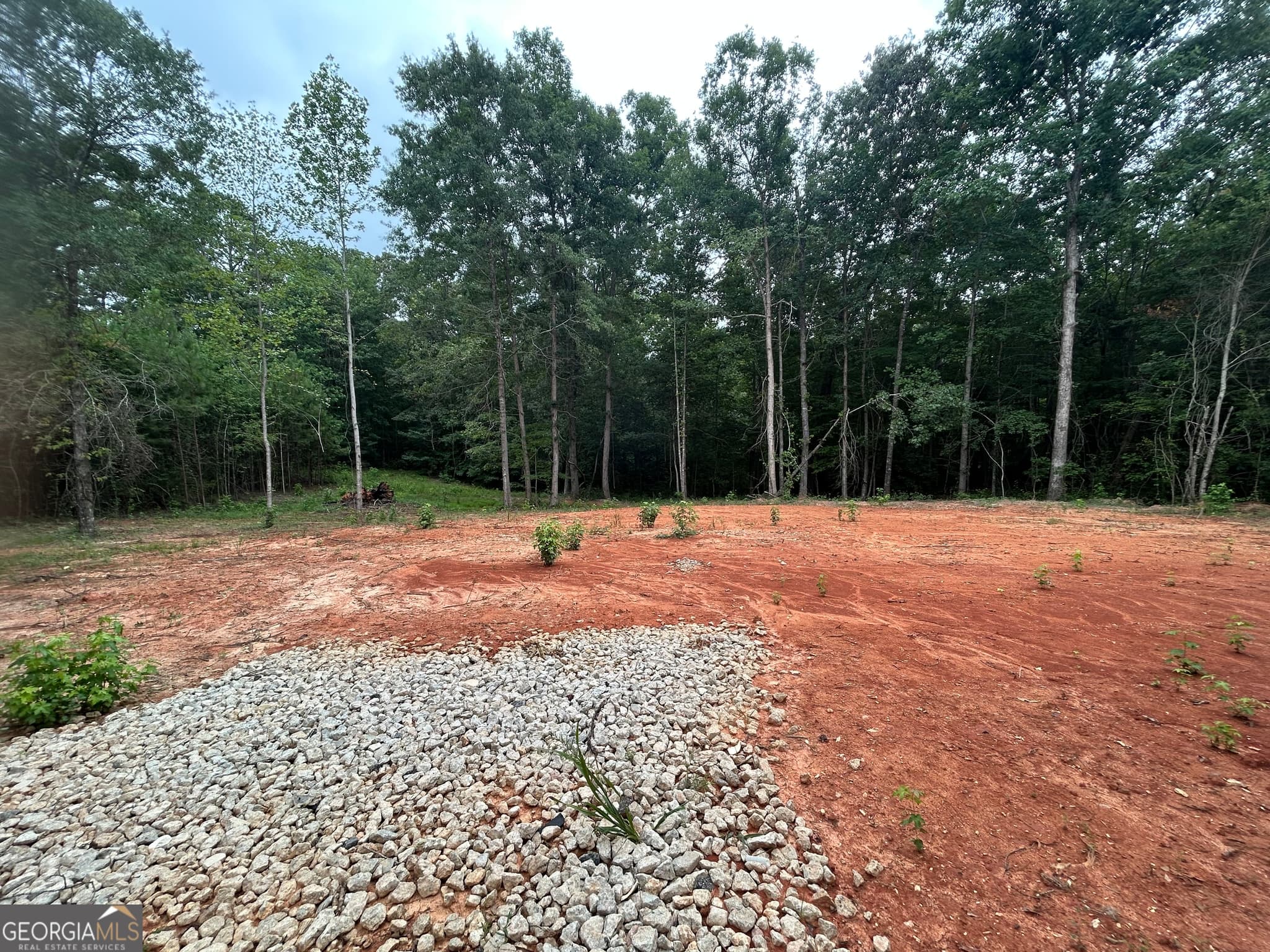residential lot for sale at CR 79 Clark Street, Roanoke, AL 36274 — photo 6