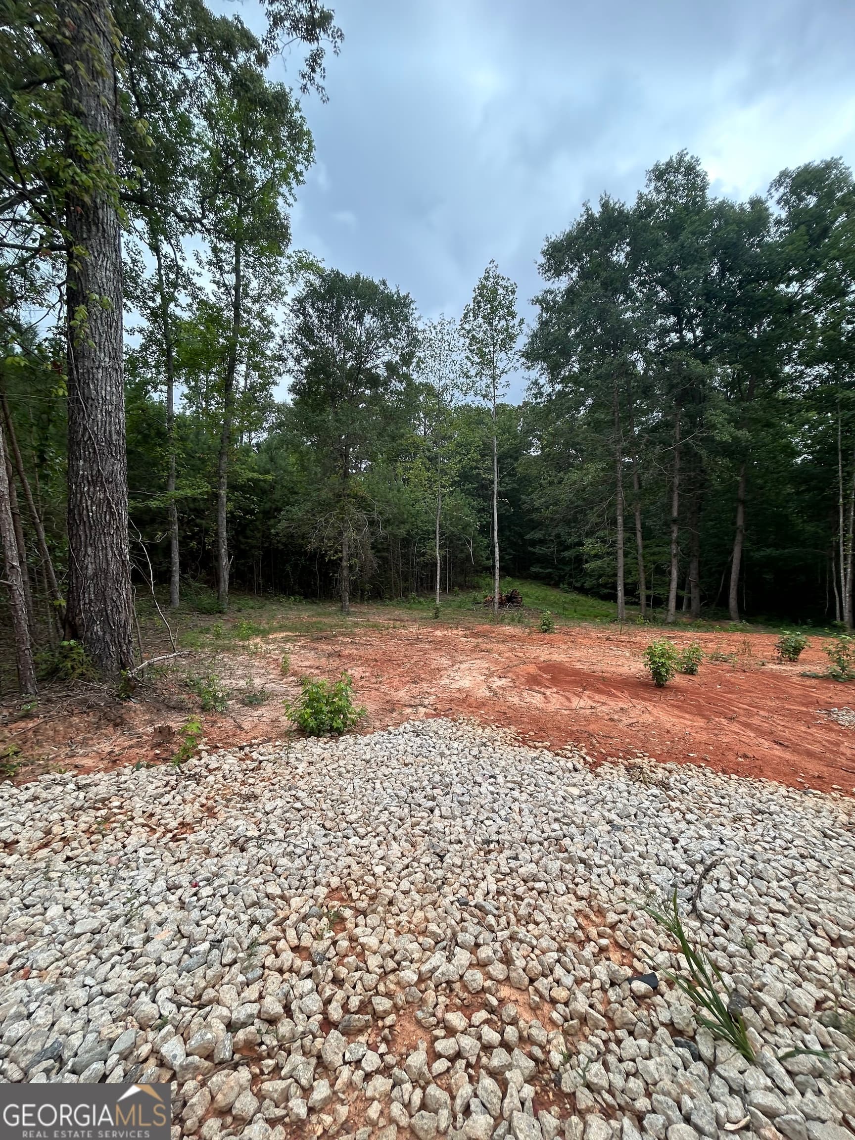 residential lot for sale at CR 79 Clark Street, Roanoke, AL 36274 — photo 7