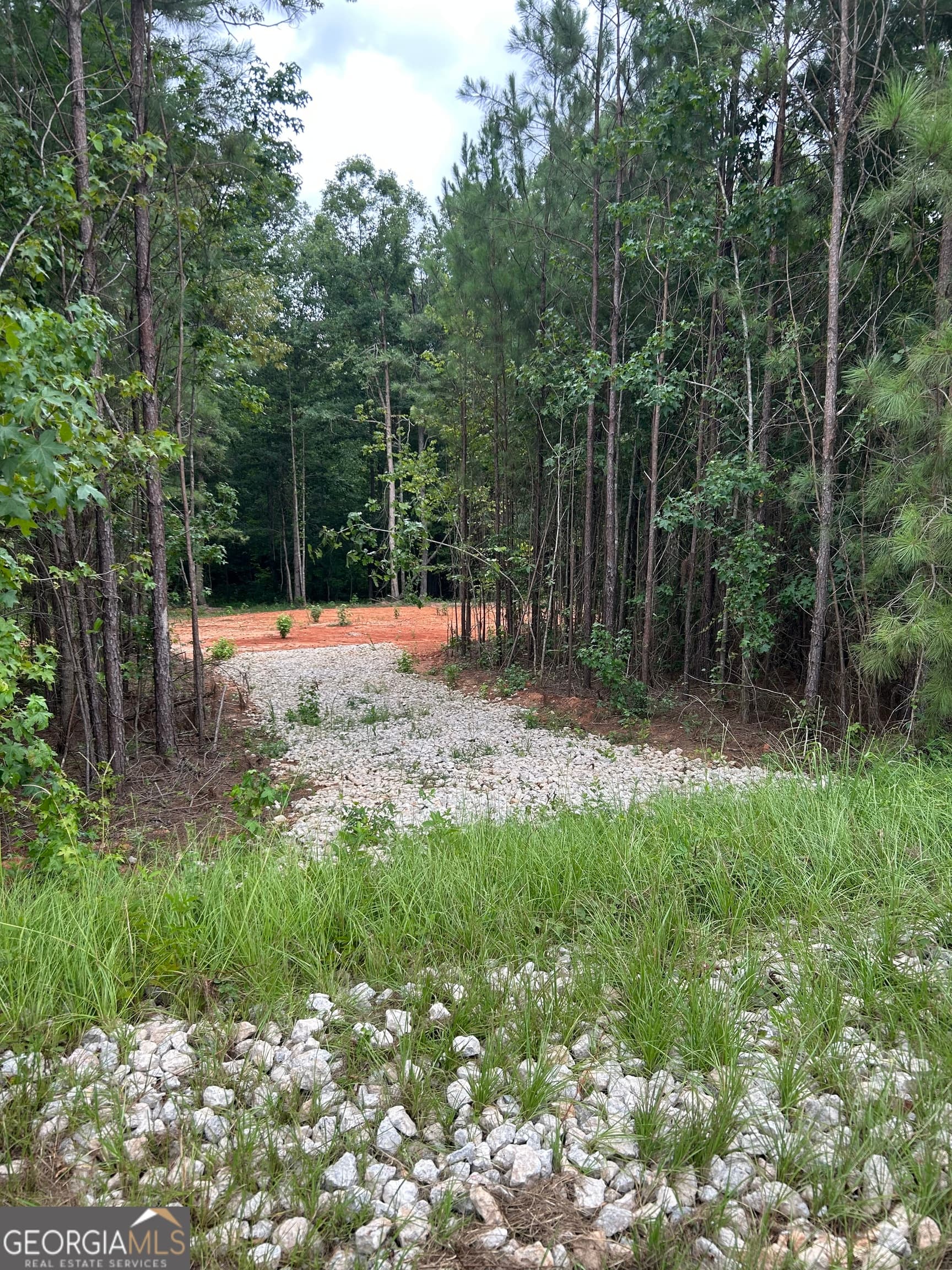 residential lot for sale at CR 79 Clark Street, Roanoke, AL 36274 — photo 3