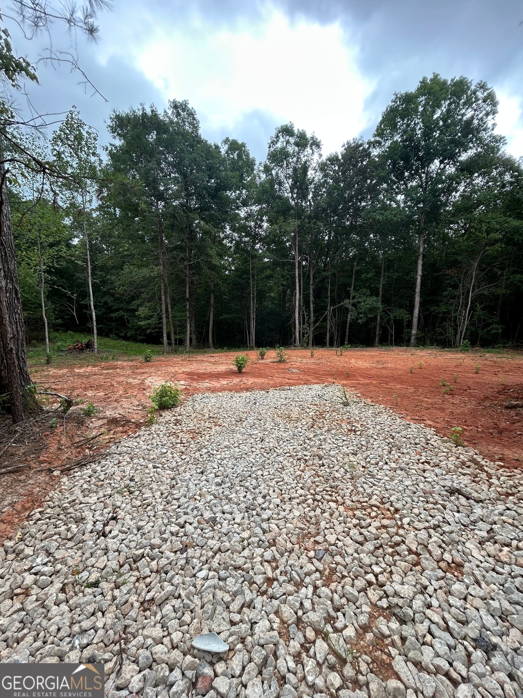 residential lot for sale at CR 79 Clark Street, Roanoke, AL 36274 — photo 5
