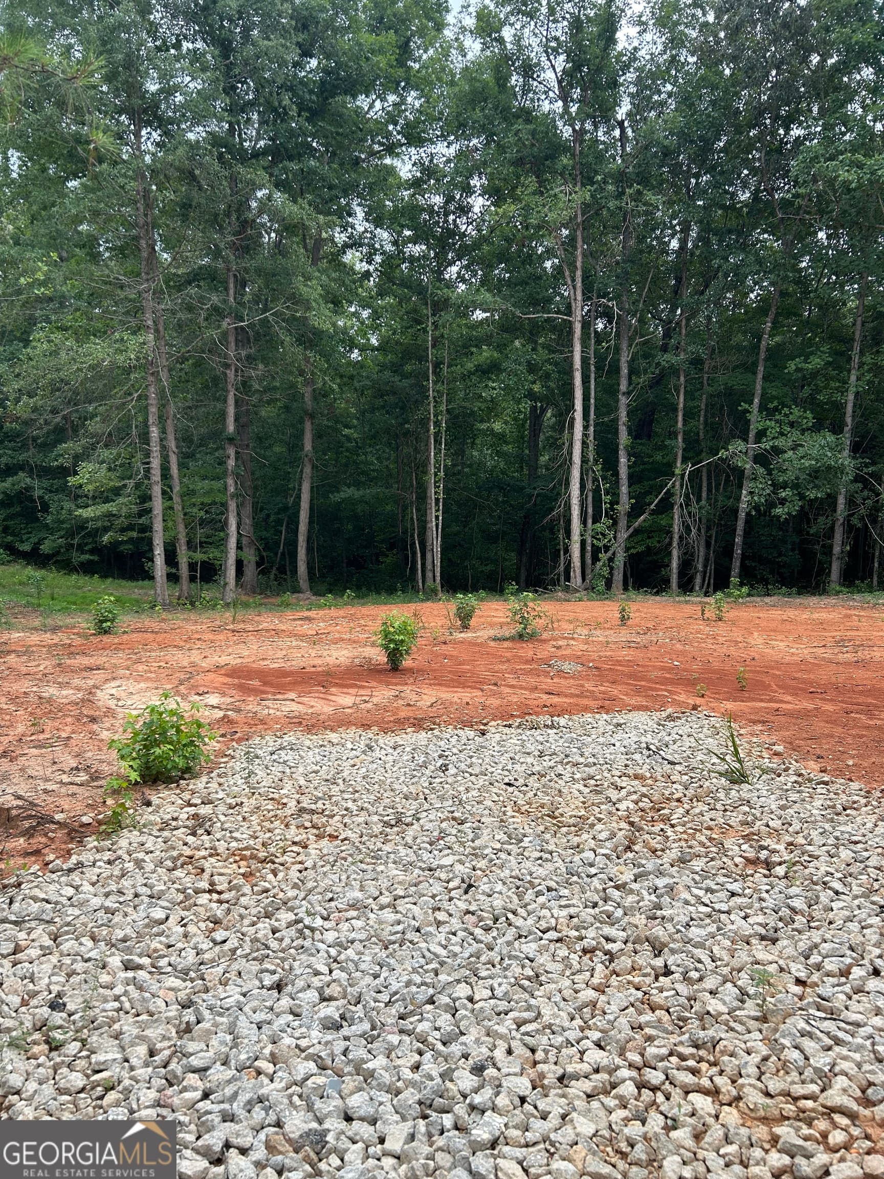 residential lot for sale at CR 79 Clark Street, Roanoke, AL 36274 — photo 4