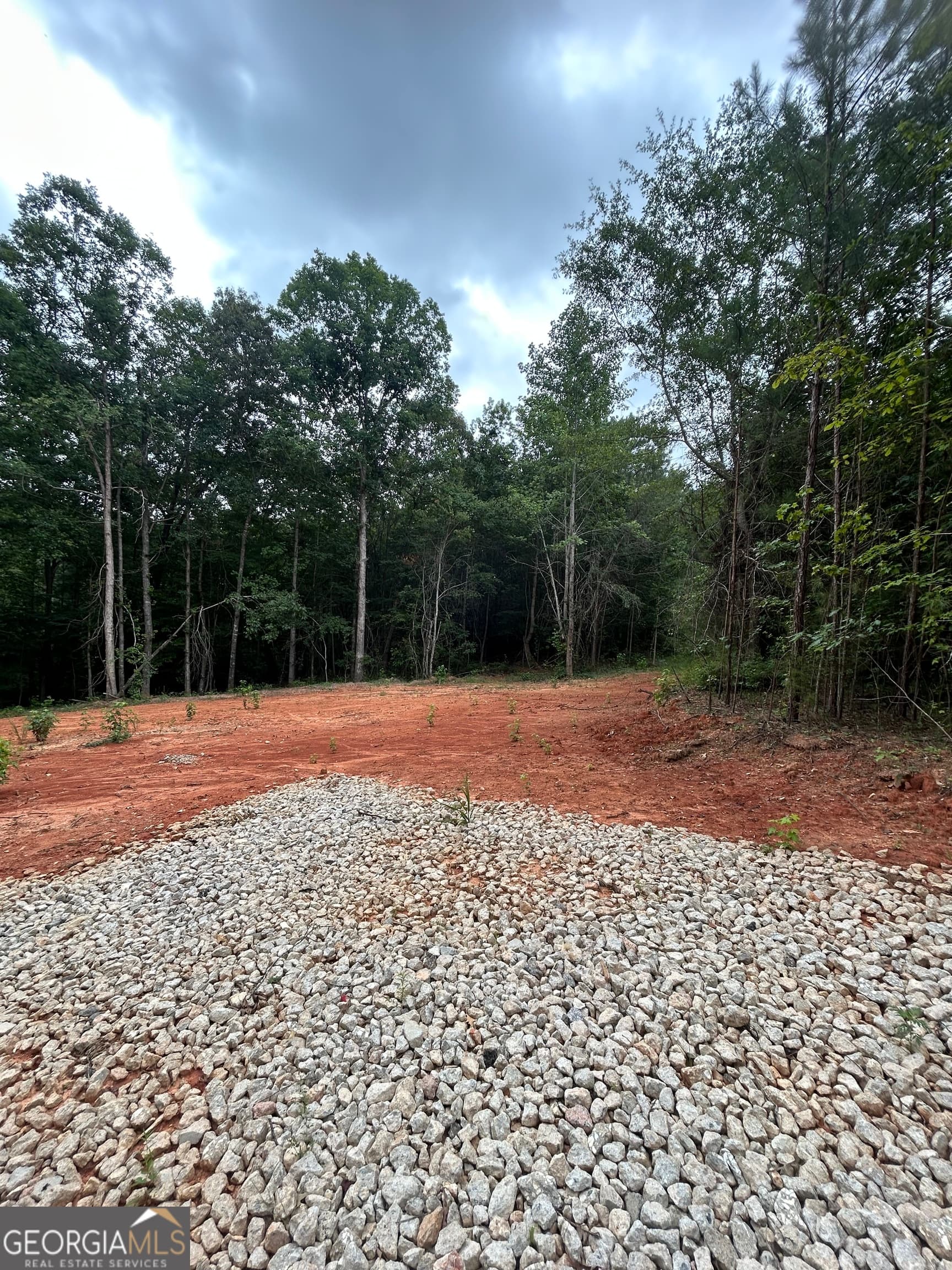 residential lot for sale at CR 79 Clark Street, Roanoke, AL 36274 — photo 8