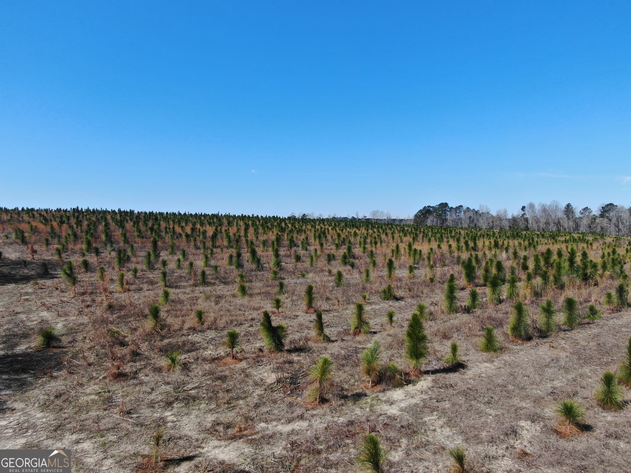 agriculture for sale at 0 AIRPORT Road, Mcrae-Helena, GA 31037 — photo 2