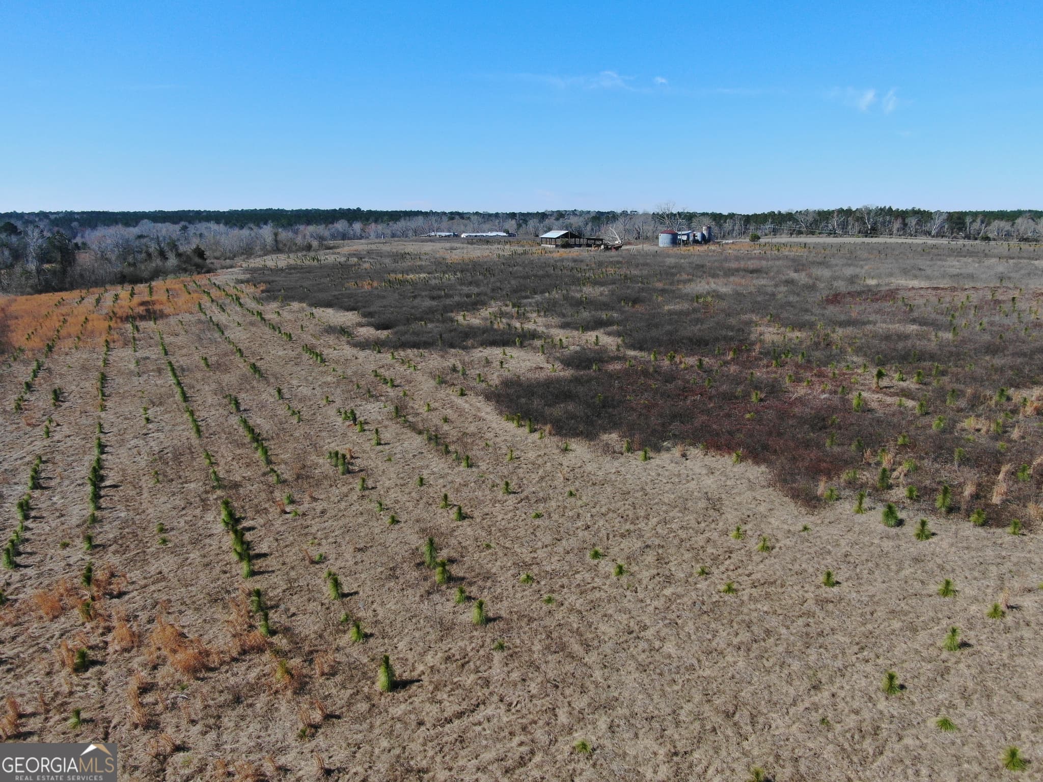 agriculture for sale at 0 AIRPORT Road, Mcrae-Helena, GA 31037 — photo 6