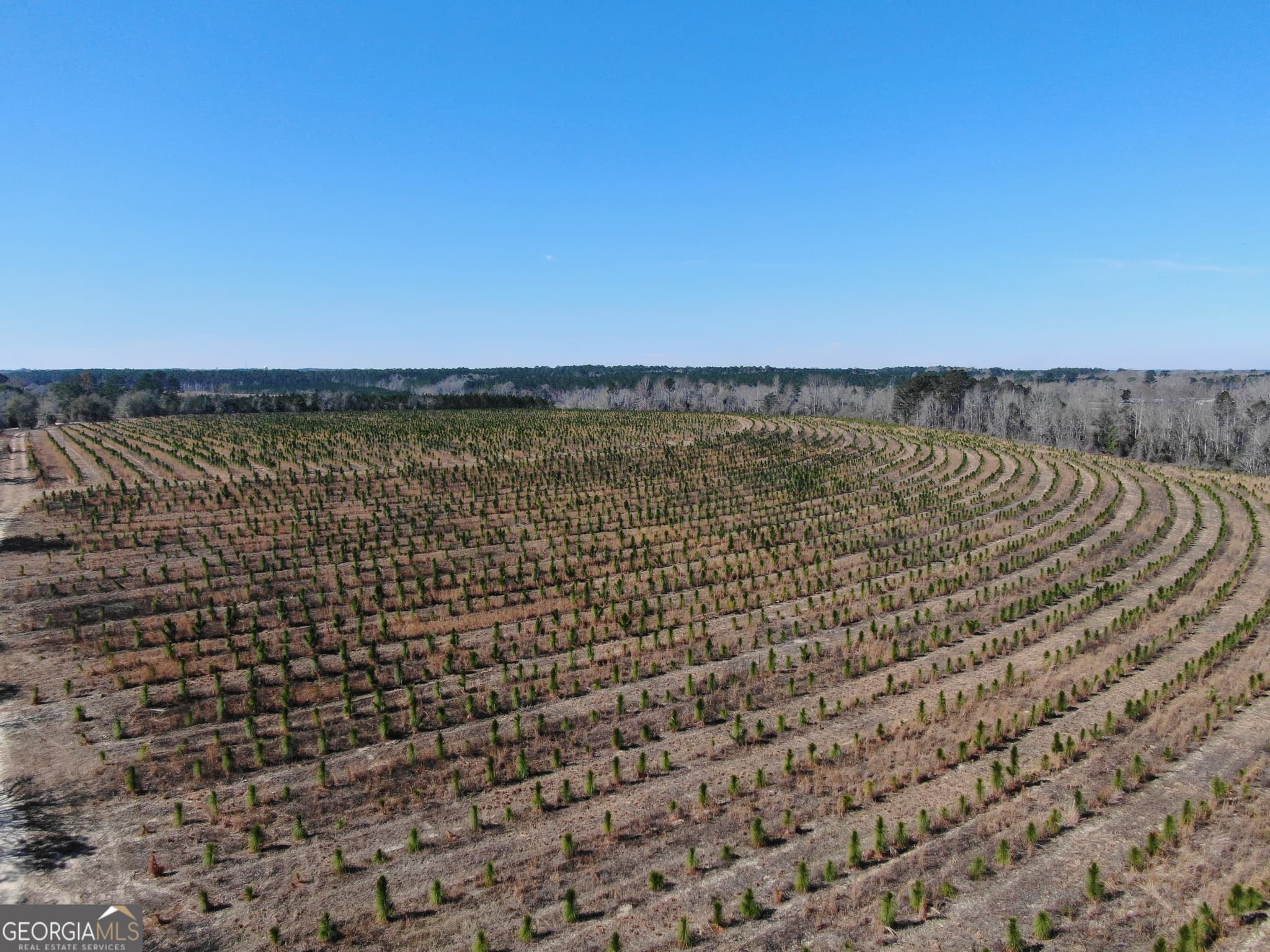 agriculture for sale at 0 AIRPORT Road, Mcrae-Helena, GA 31037 — photo 3