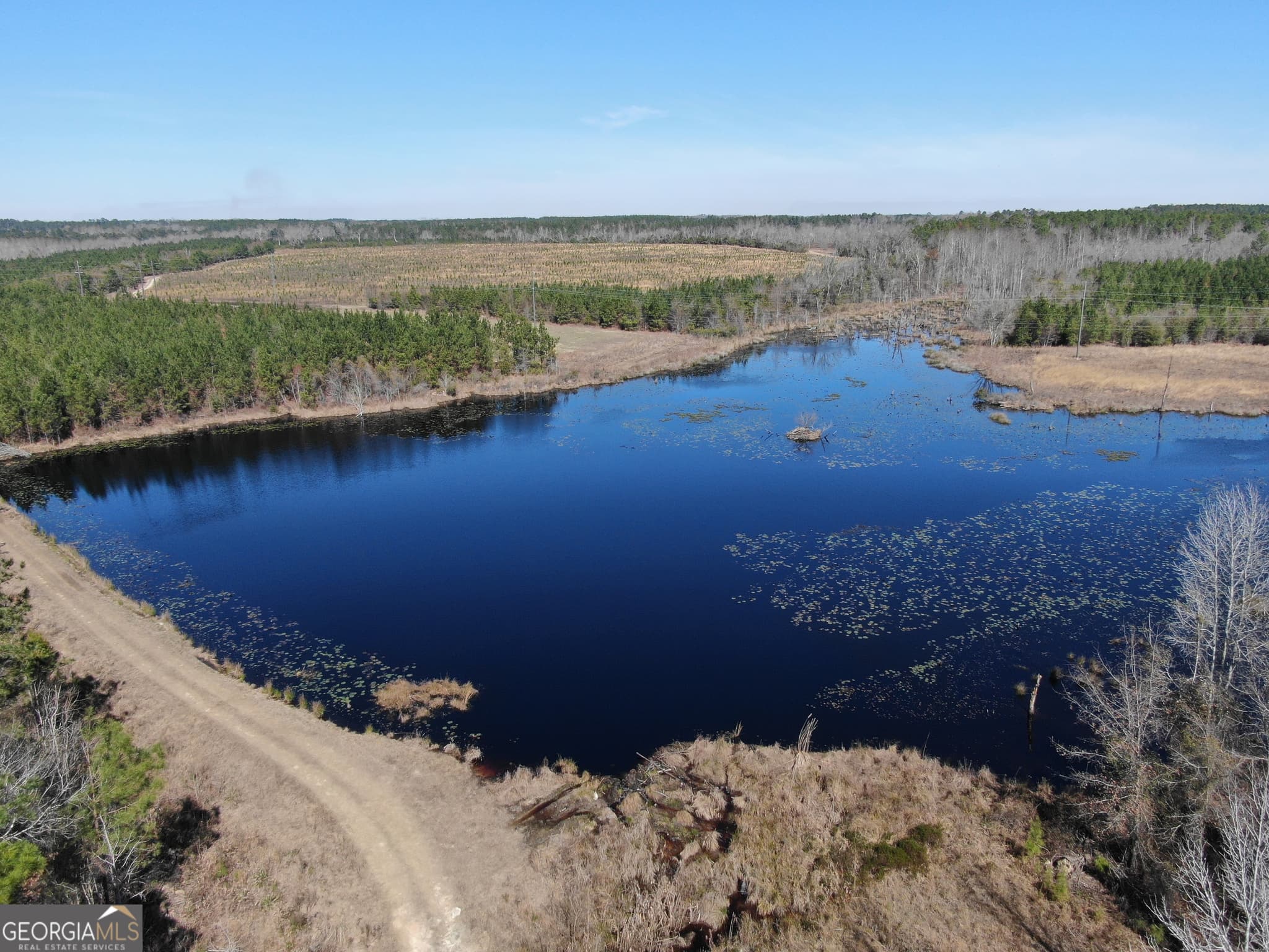 agriculture for sale at 0 AIRPORT Road, Mcrae-Helena, GA 31037 — photo 1 of 43