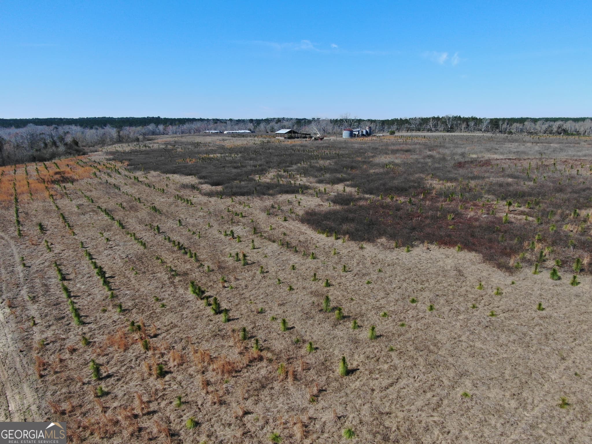 agriculture for sale at 0 AIRPORT Road, Mcrae-Helena, GA 31037 — photo 5