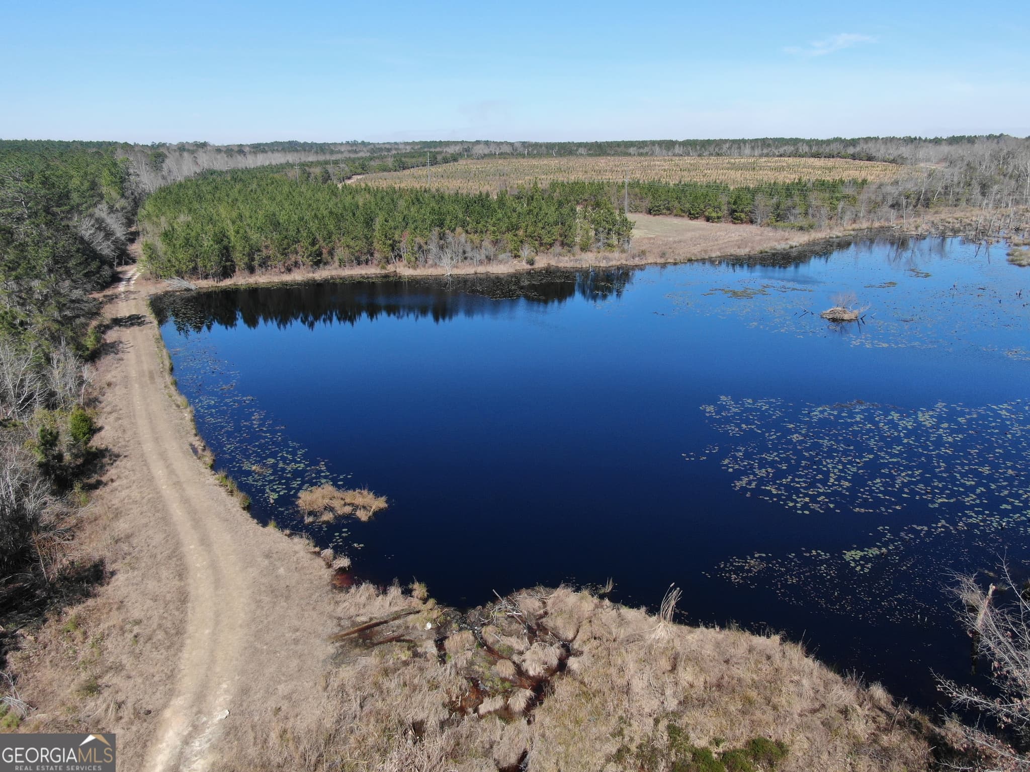 agriculture for sale at 0 AIRPORT Road, Mcrae-Helena, GA 31037 — photo 9
