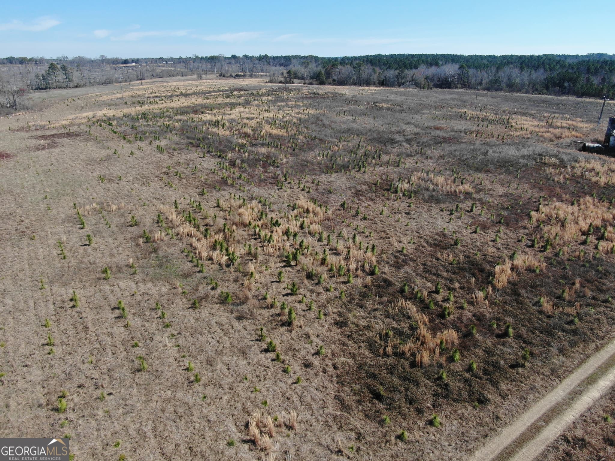 agriculture for sale at 0 AIRPORT Road, Mcrae-Helena, GA 31037 — photo 10
