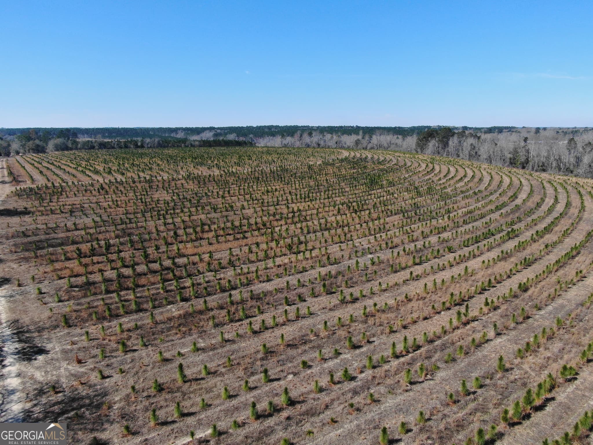 agriculture for sale at 0 AIRPORT Road, Mcrae-Helena, GA 31037 — photo 4