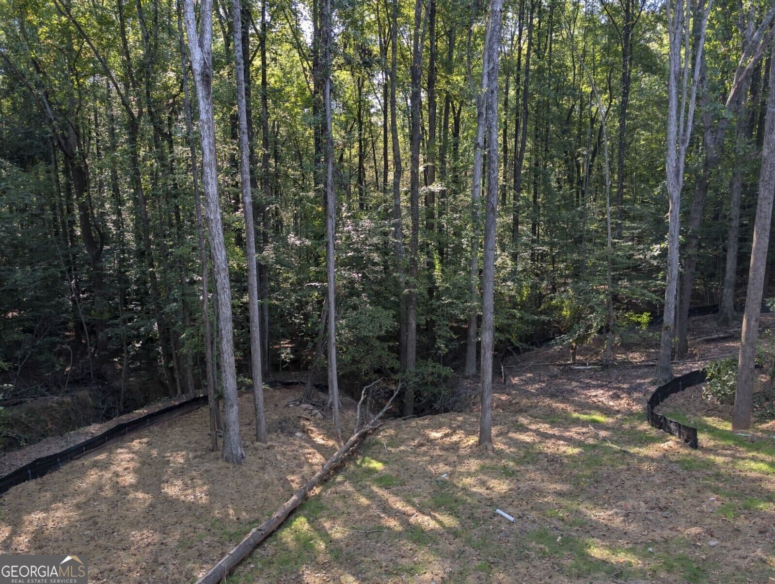 4 bedroom, 4.5 bathroom, 3,619 sq ft single family residence for sale at 8025 Bethel Road, Gainesville, GA 30506 — photo 3