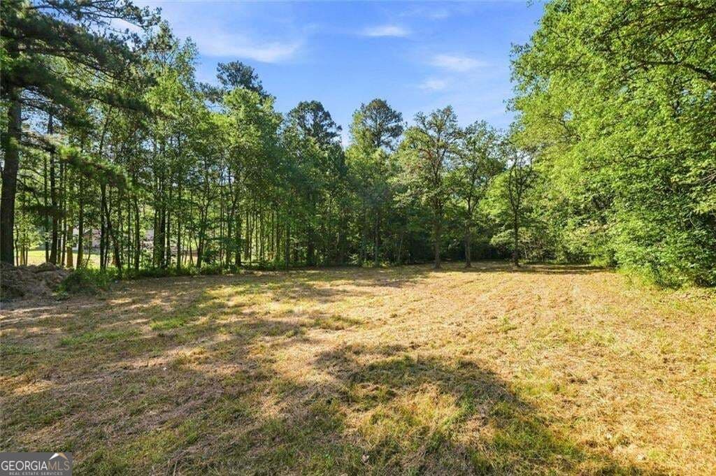 3 bedroom, 2.5 bathroom, 2,194 sq ft single family residence for sale at 378 Ficklen Place, Canton, GA 30114 — photo 3