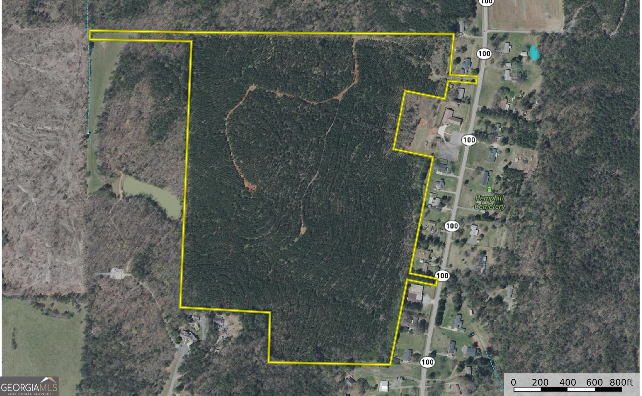 unimproved land for sale at 91 +/- Acres on Fosters Mill Rd. (GA Hwy 100), Cave Spring, GA 30124 — photo 2