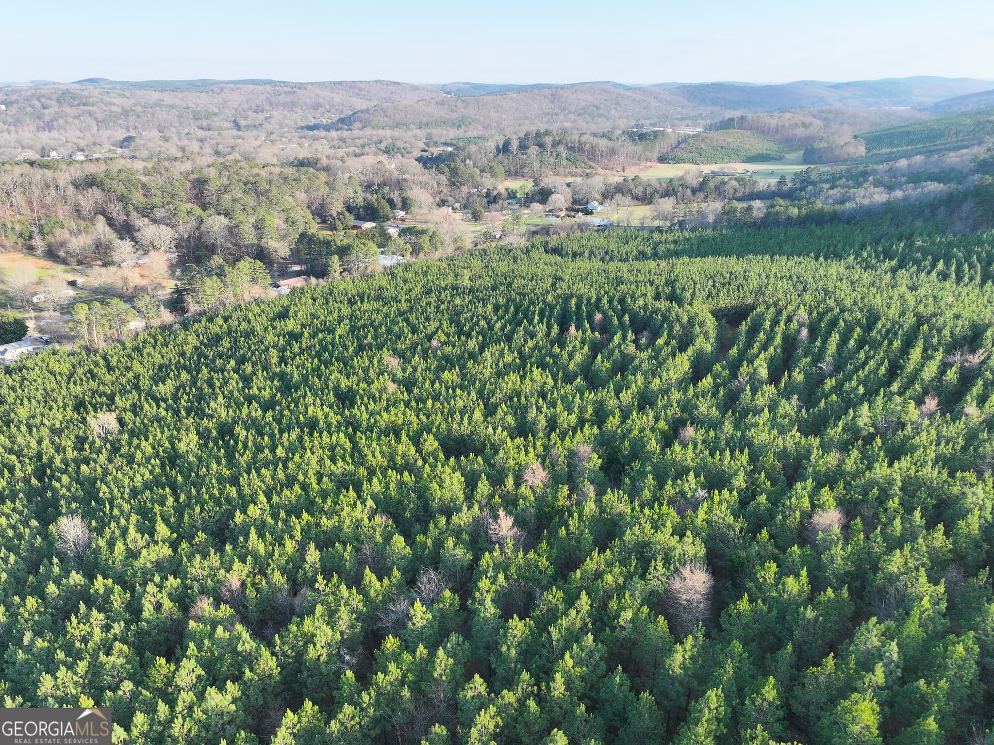 unimproved land for sale at 91 +/- Acres on Fosters Mill Rd. (GA Hwy 100), Cave Spring, GA 30124 — photo 1 of 26