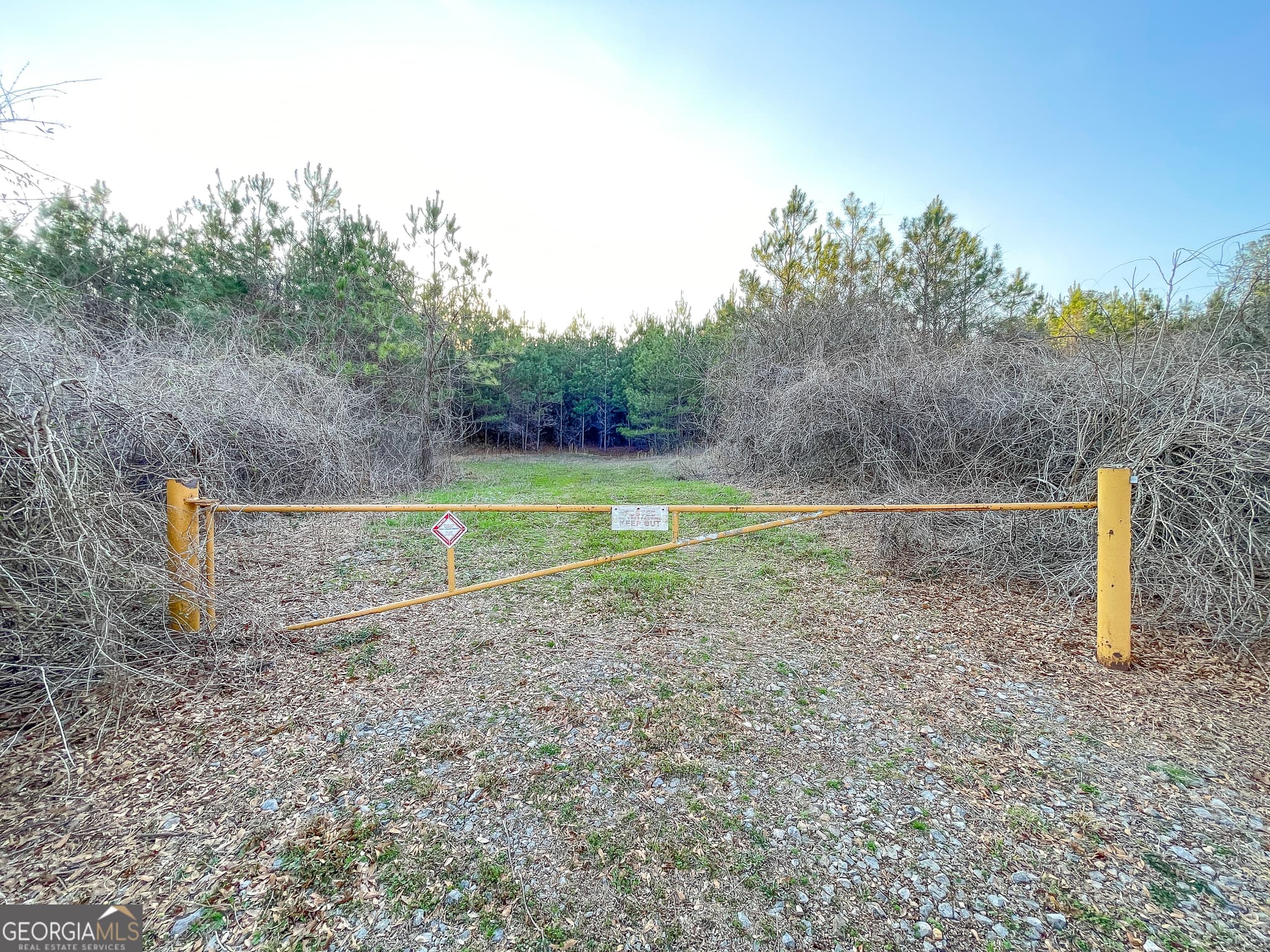 unimproved land for sale at 91 +/- Acres on Fosters Mill Rd. (GA Hwy 100), Cave Spring, GA 30124 — photo 5