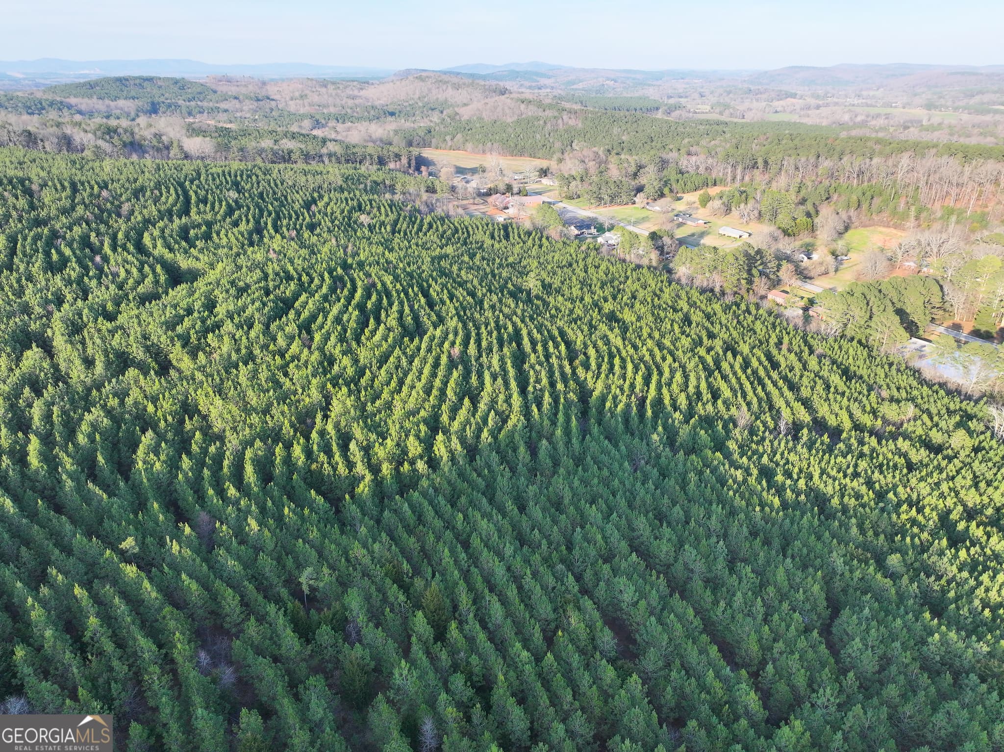 unimproved land for sale at 91 +/- Acres on Fosters Mill Rd. (GA Hwy 100), Cave Spring, GA 30124 — photo 8