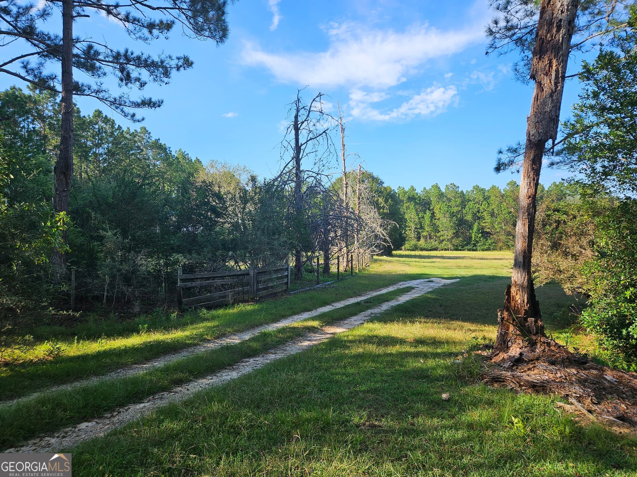 1407 Hawpond Road N/A, Arabi, GA 31712 — most recent listing photo