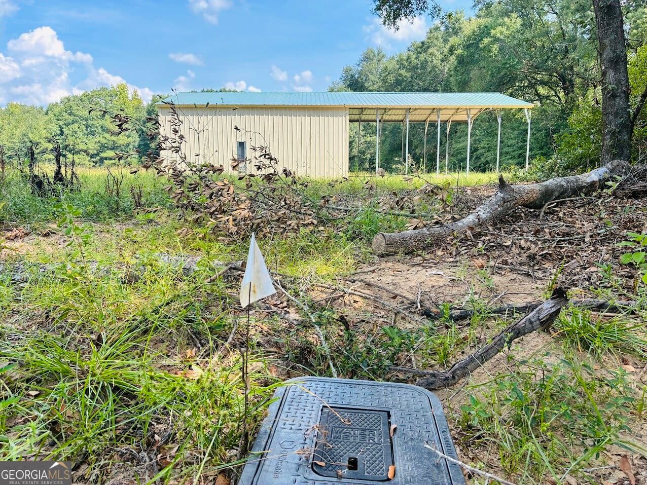 agriculture for sale at 0 Fouche Road UNIT A, Buena Vista, GA 31803 — photo 5